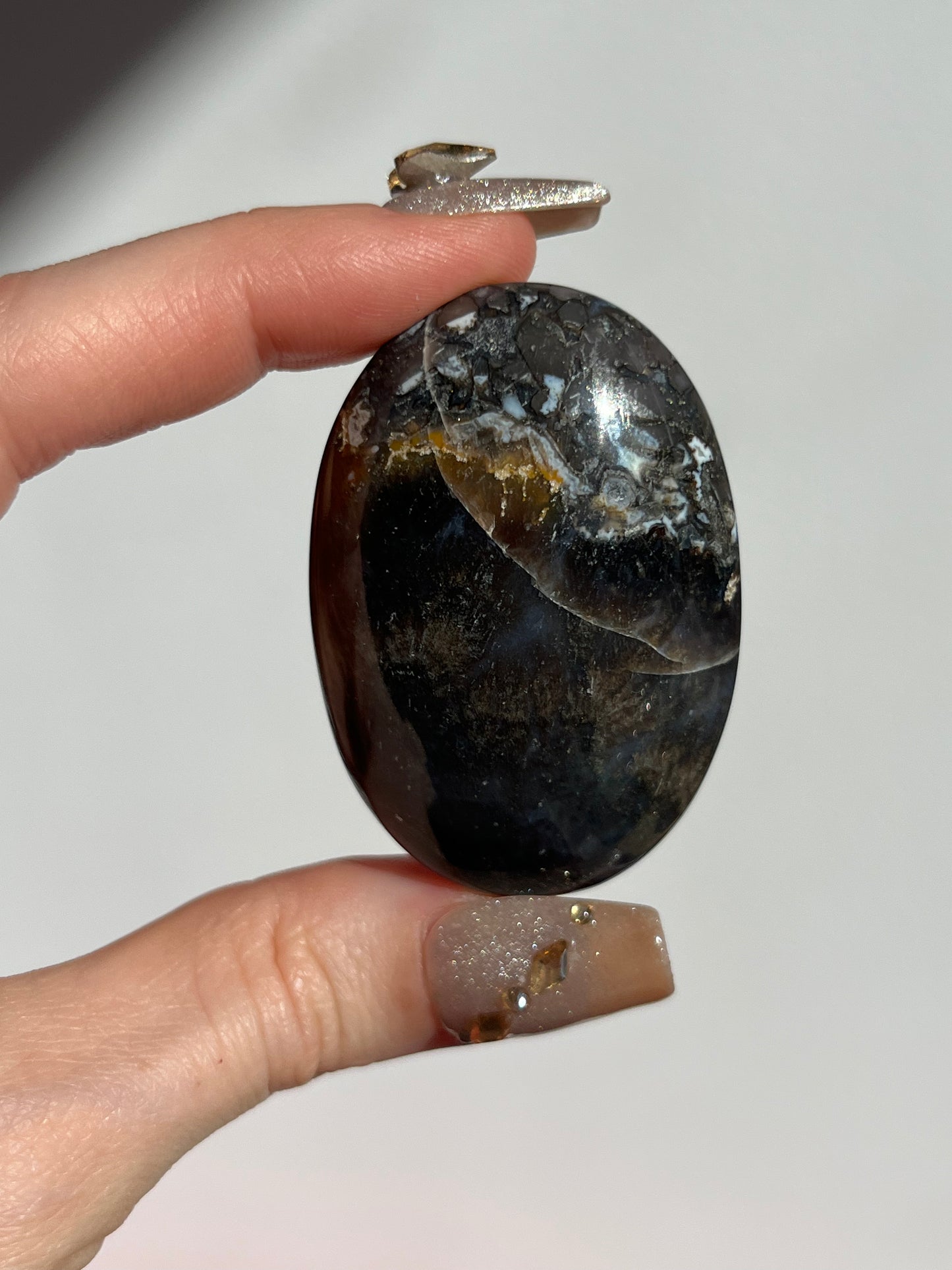 Petrified Wood Palmstone A