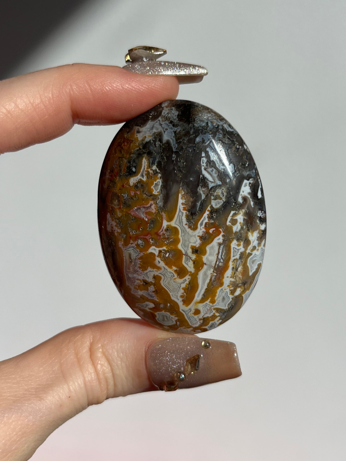 Agatised Petrified Wood Palmstone C