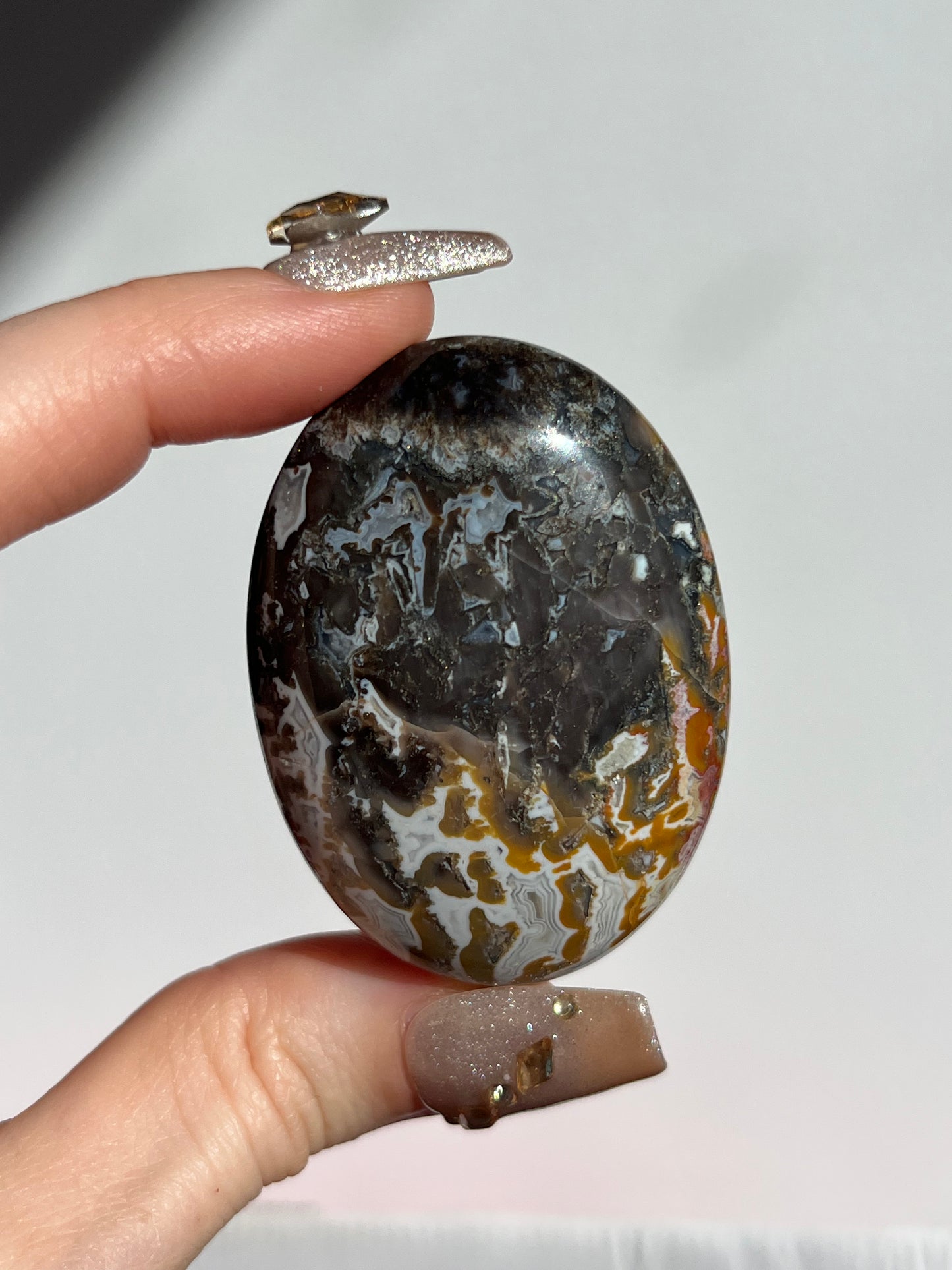 Agatised Petrified Wood Palmstone C