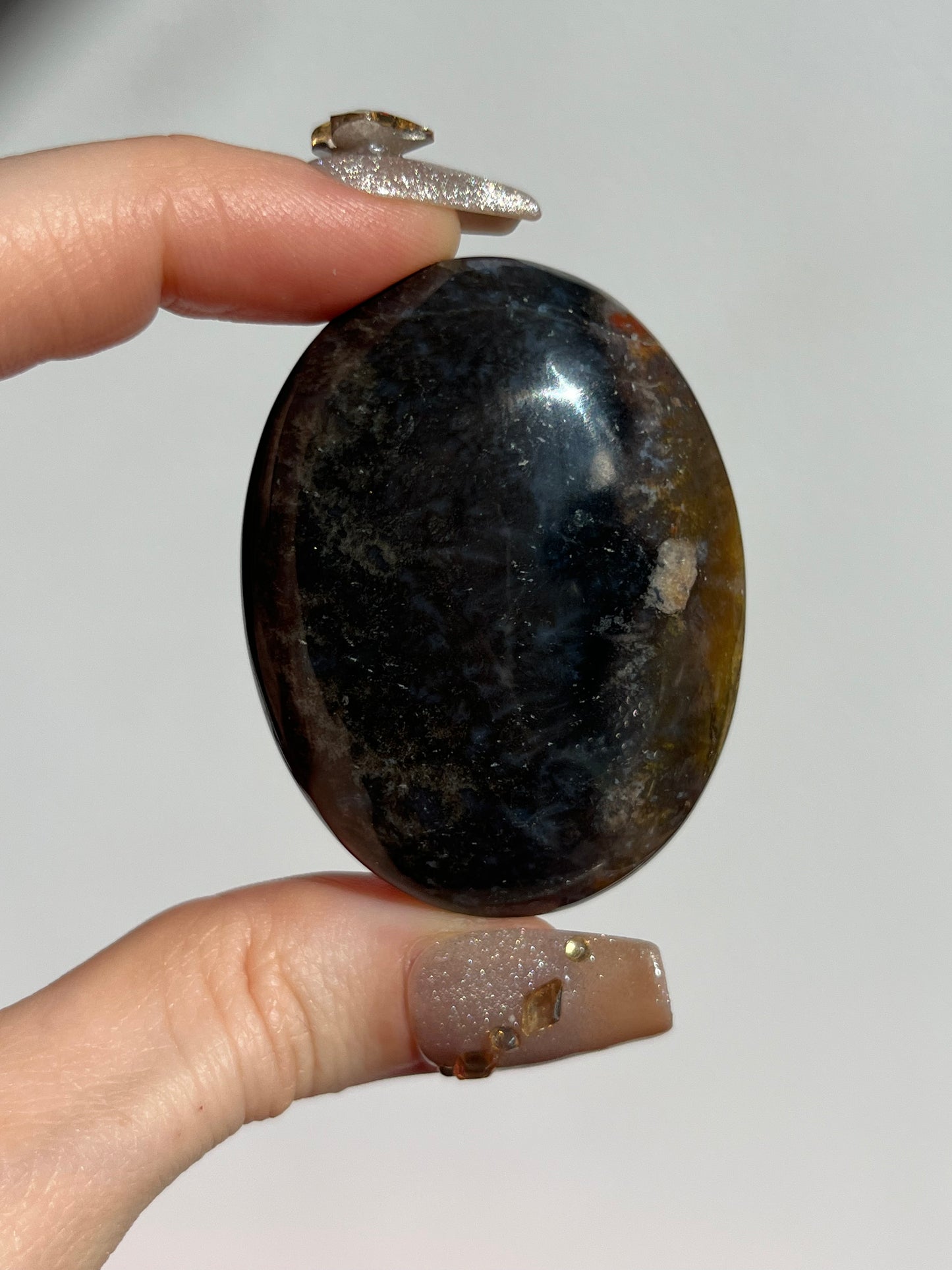 Petrified Wood Palmstone D