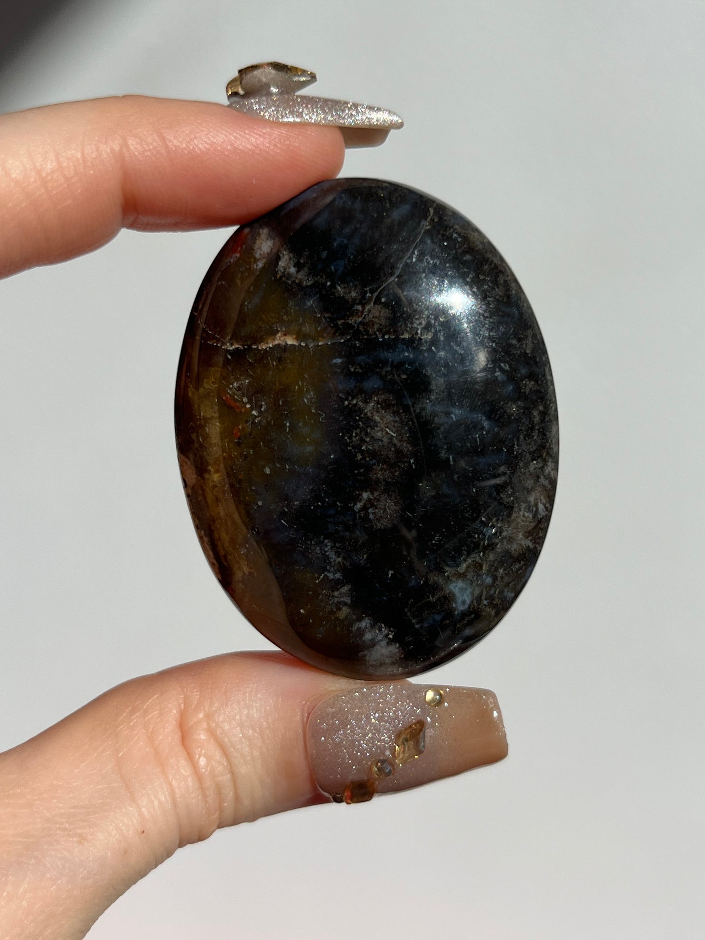 Petrified Wood Palmstone D