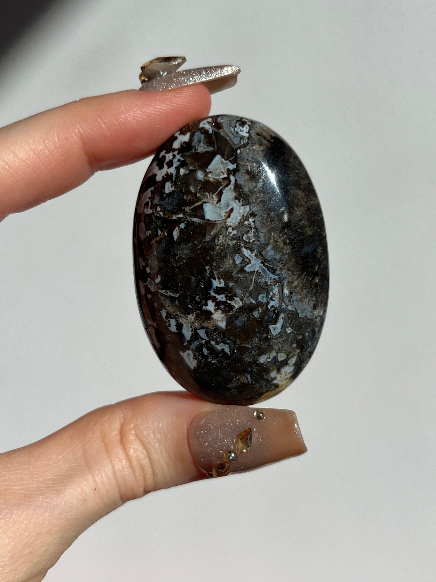 Agatised Petrified Wood Palmstone E