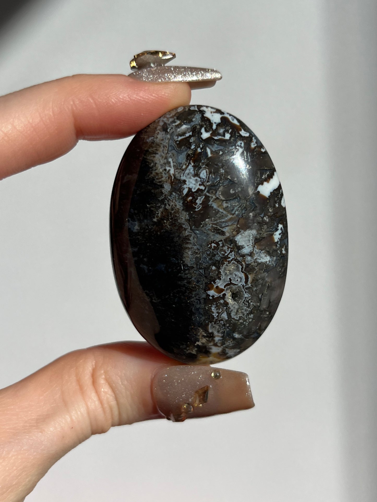 Agatised Petrified Wood Palmstone E
