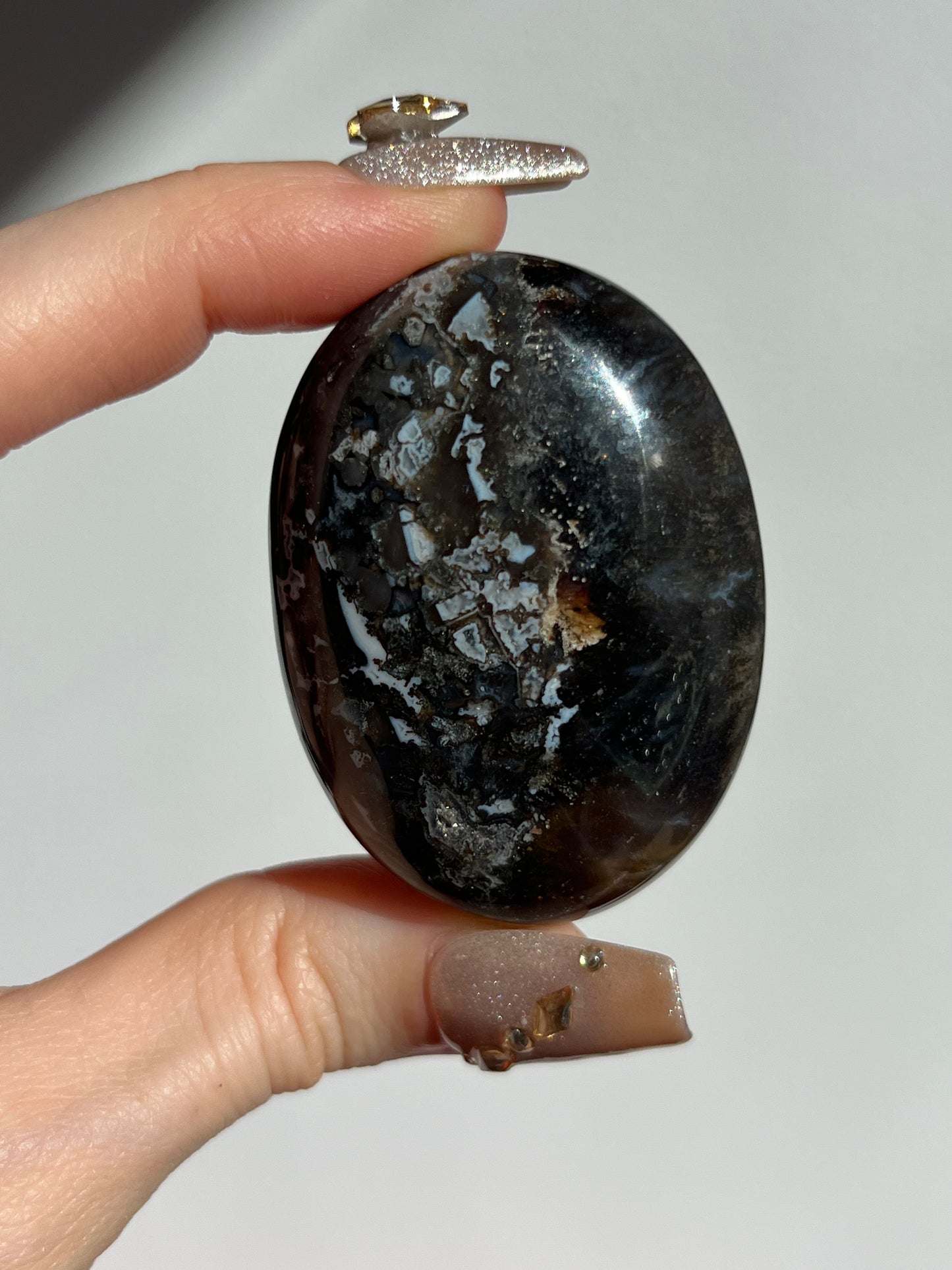 Agatised Petrified Wood Palmstone F