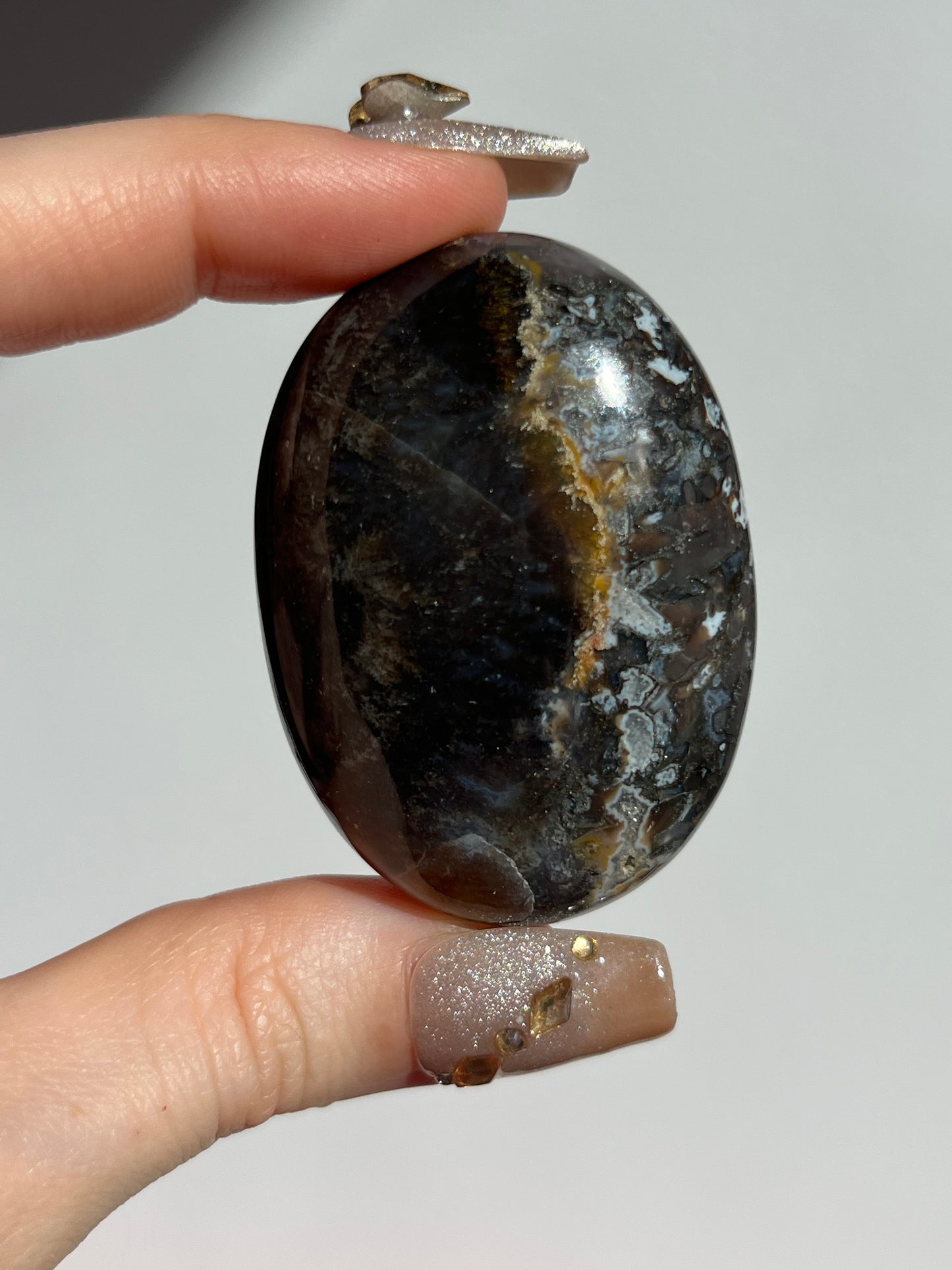 Agatised Petrified Wood Palmstone F