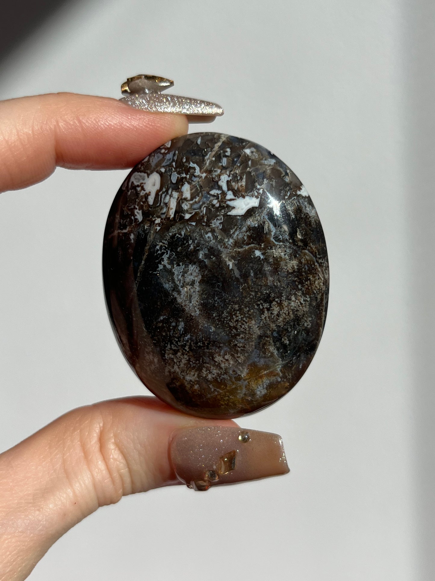 Agatised Petrified Wood Palmstone G