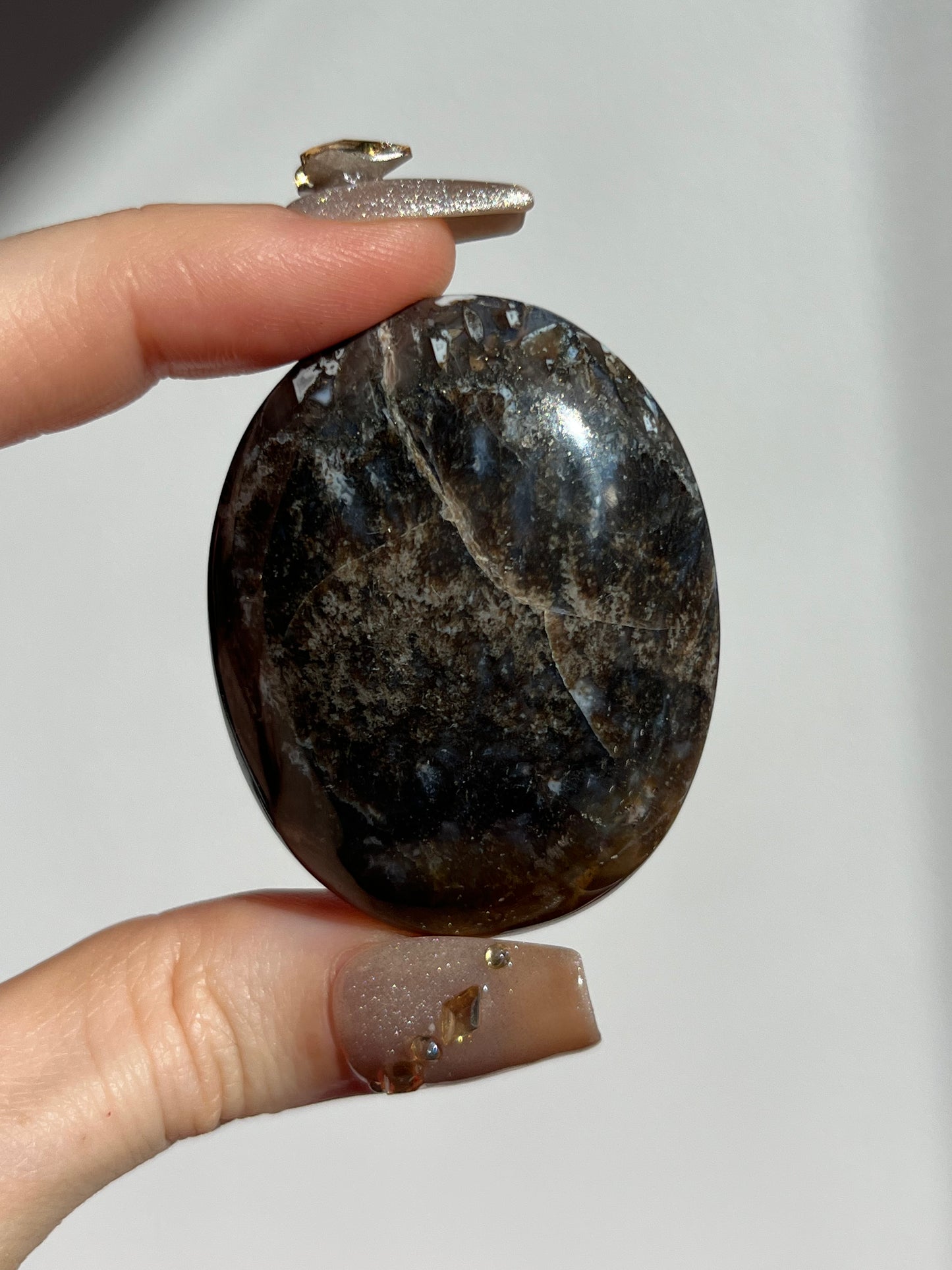 Agatised Petrified Wood Palmstone G