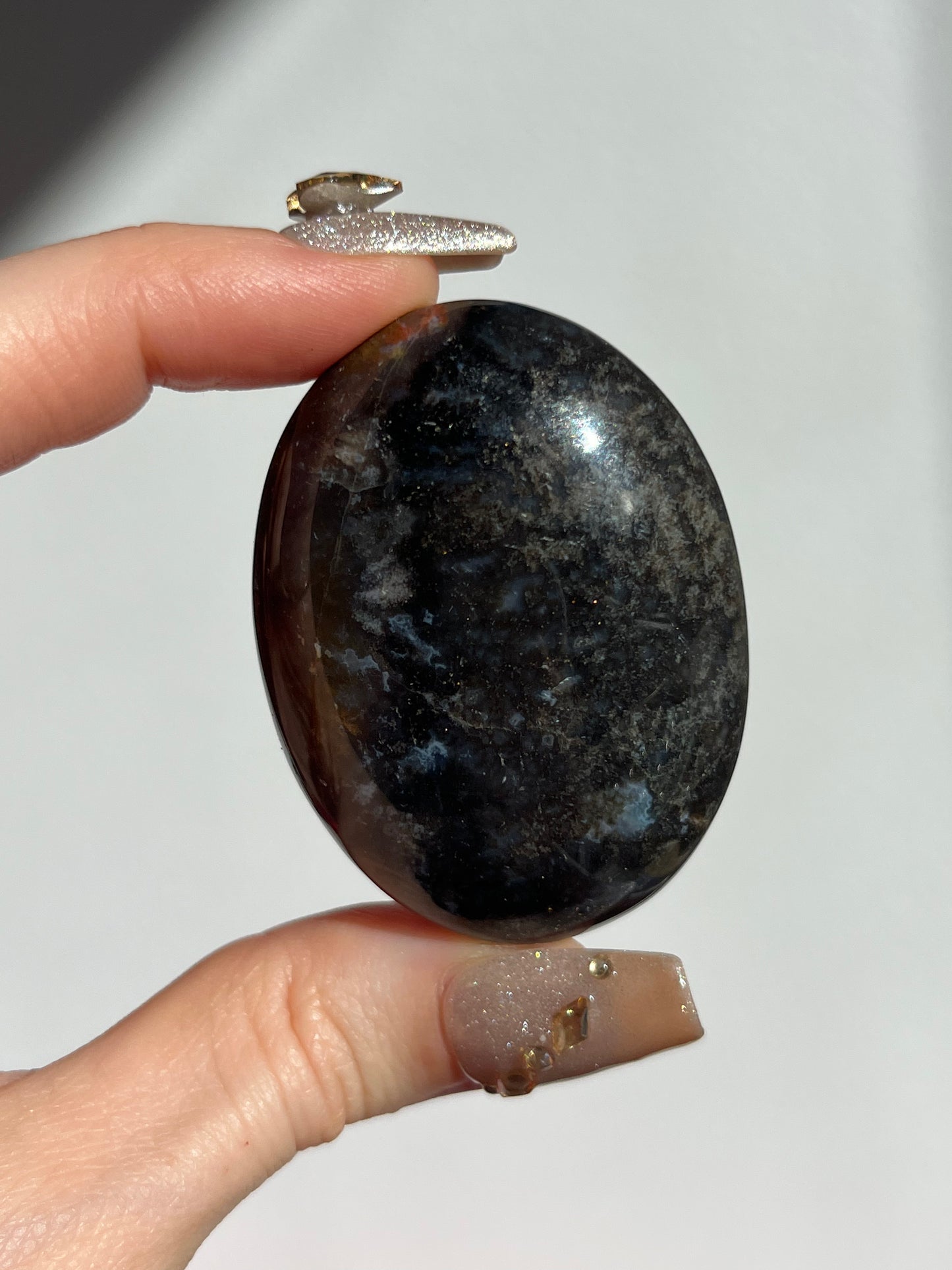 Petrified Wood Palmstone H