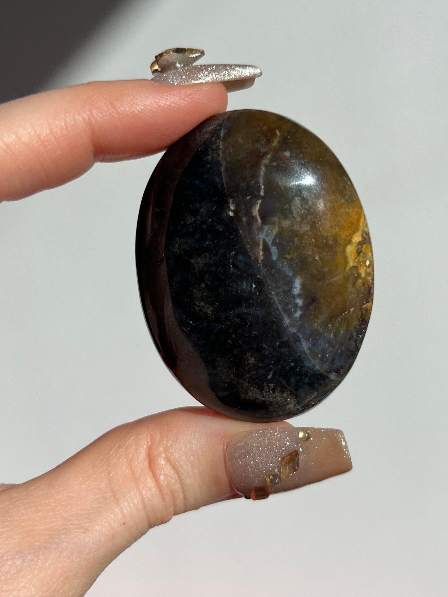 Petrified Wood Palmstone H