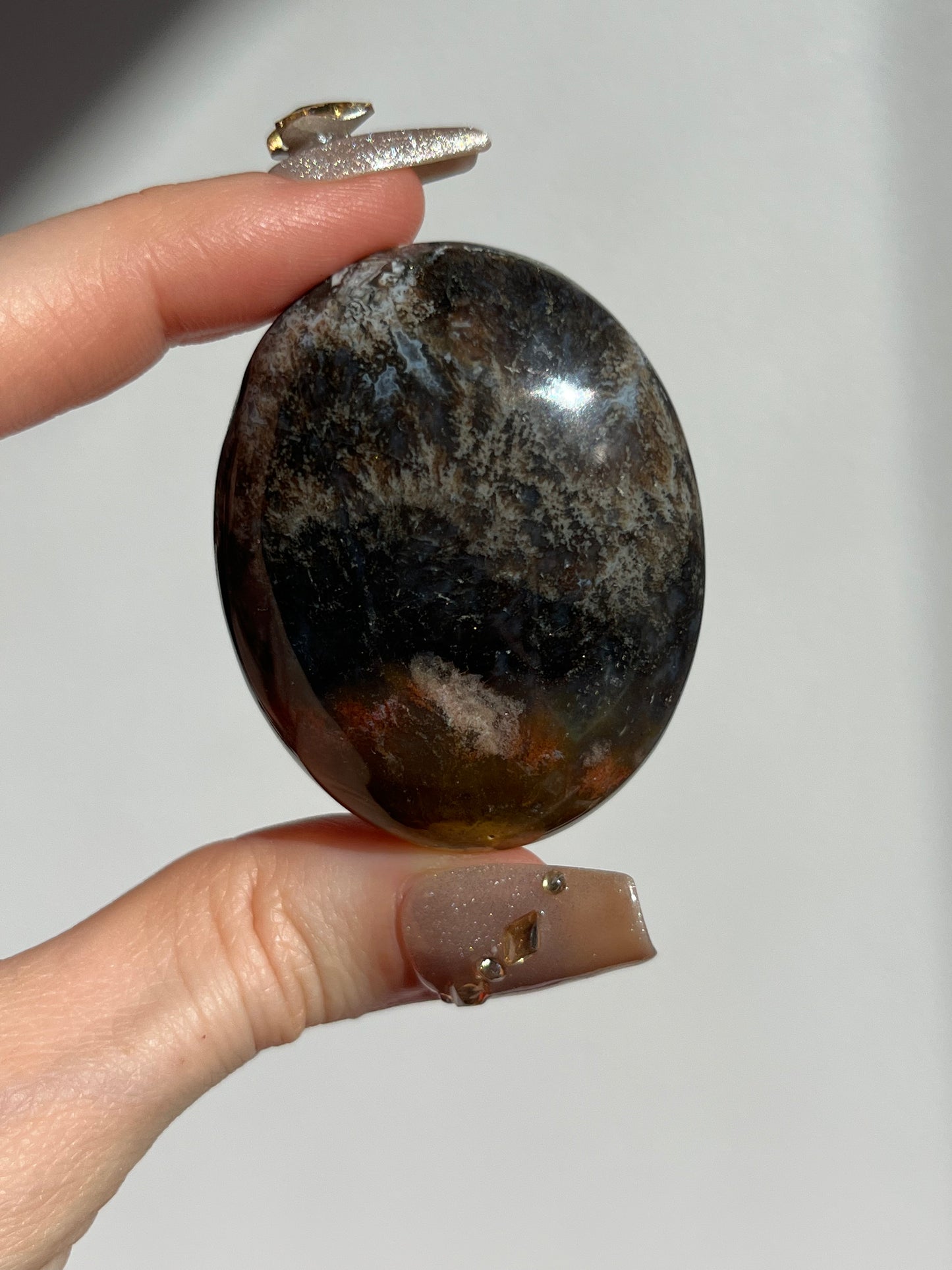 Petrified Wood Palmstone I