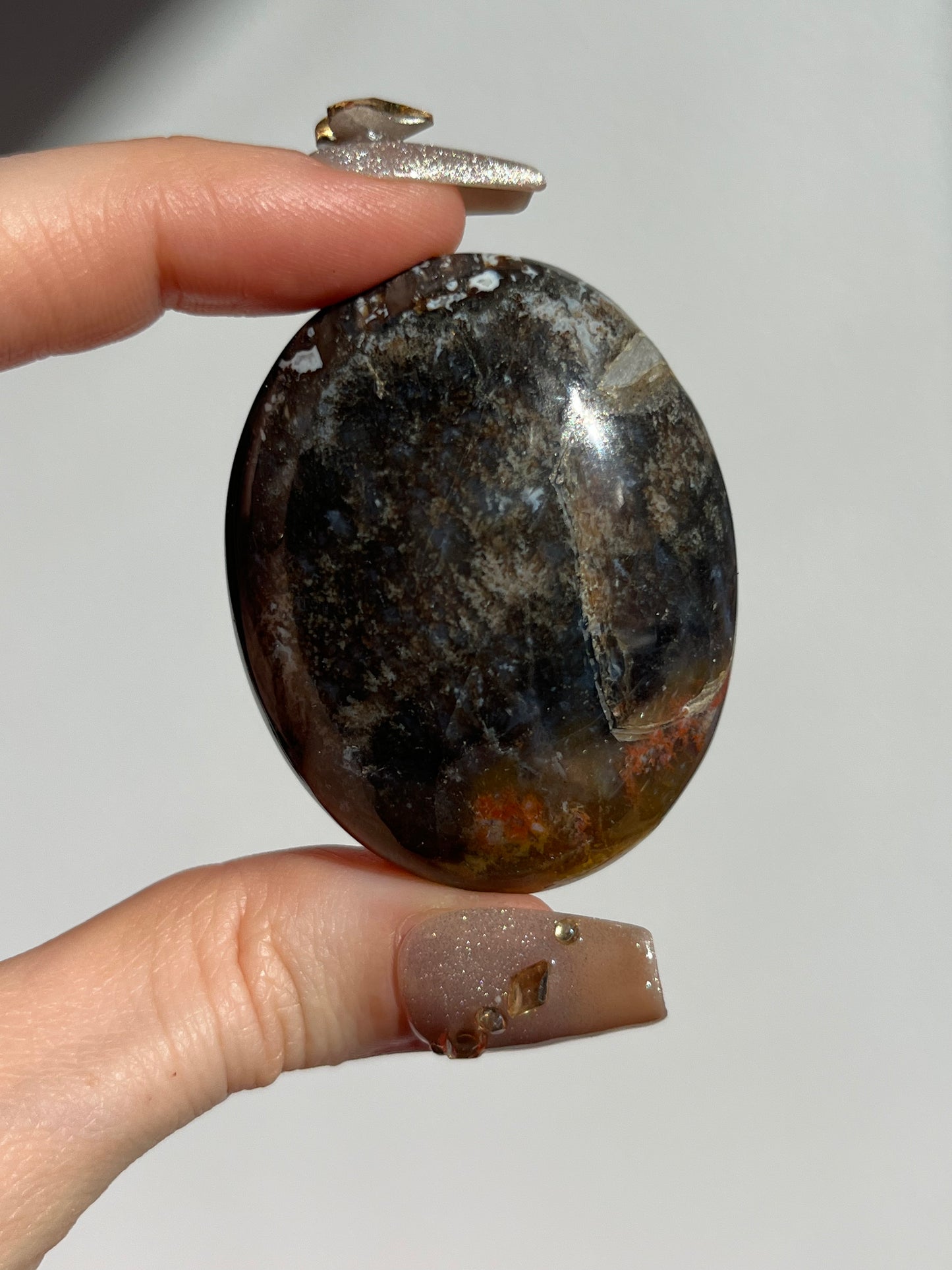 Petrified Wood Palmstone I