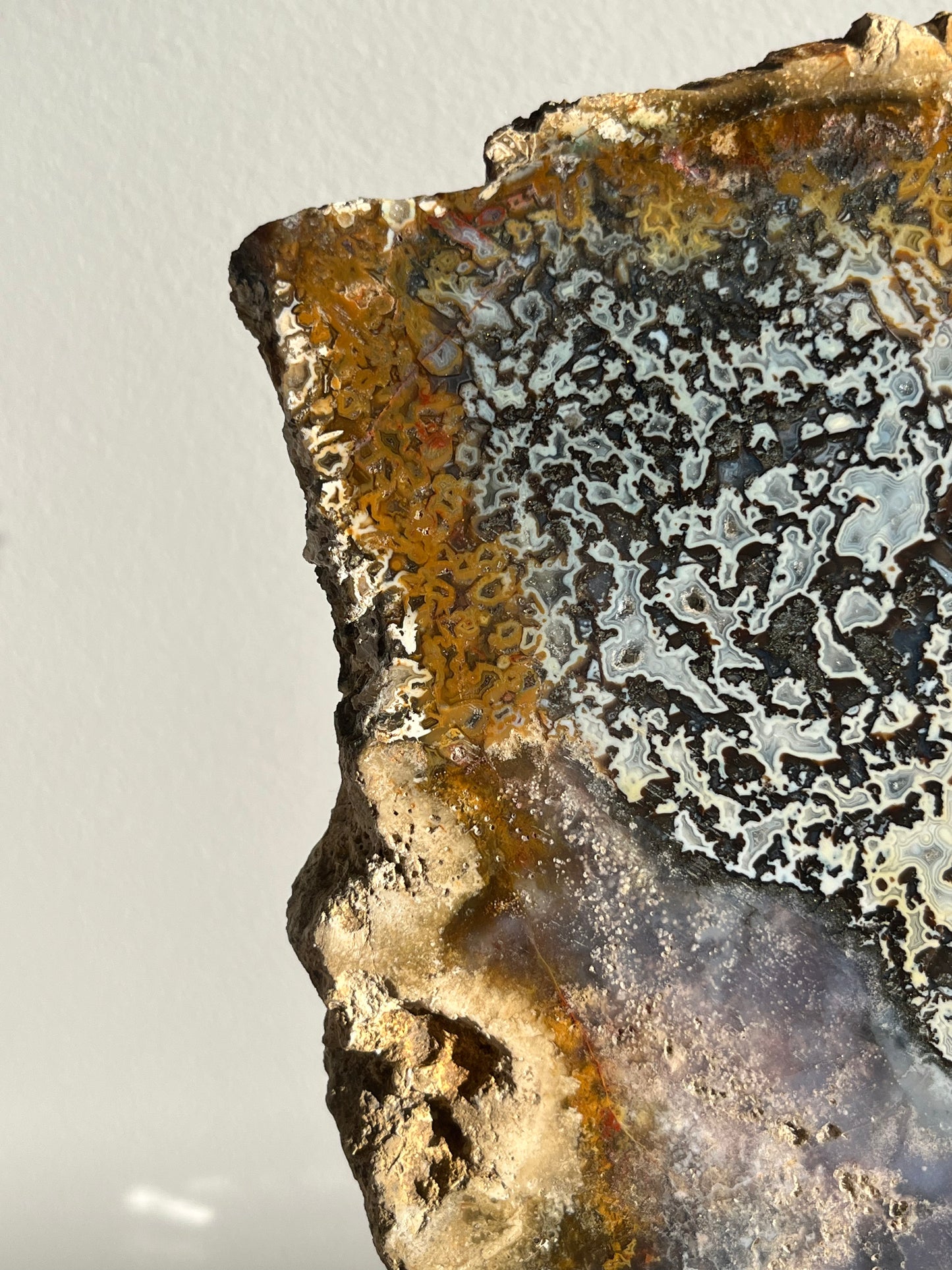 Agatised Petrified Wood with Marcasite, Face Agate Patterns and Parallax Effect Slab A