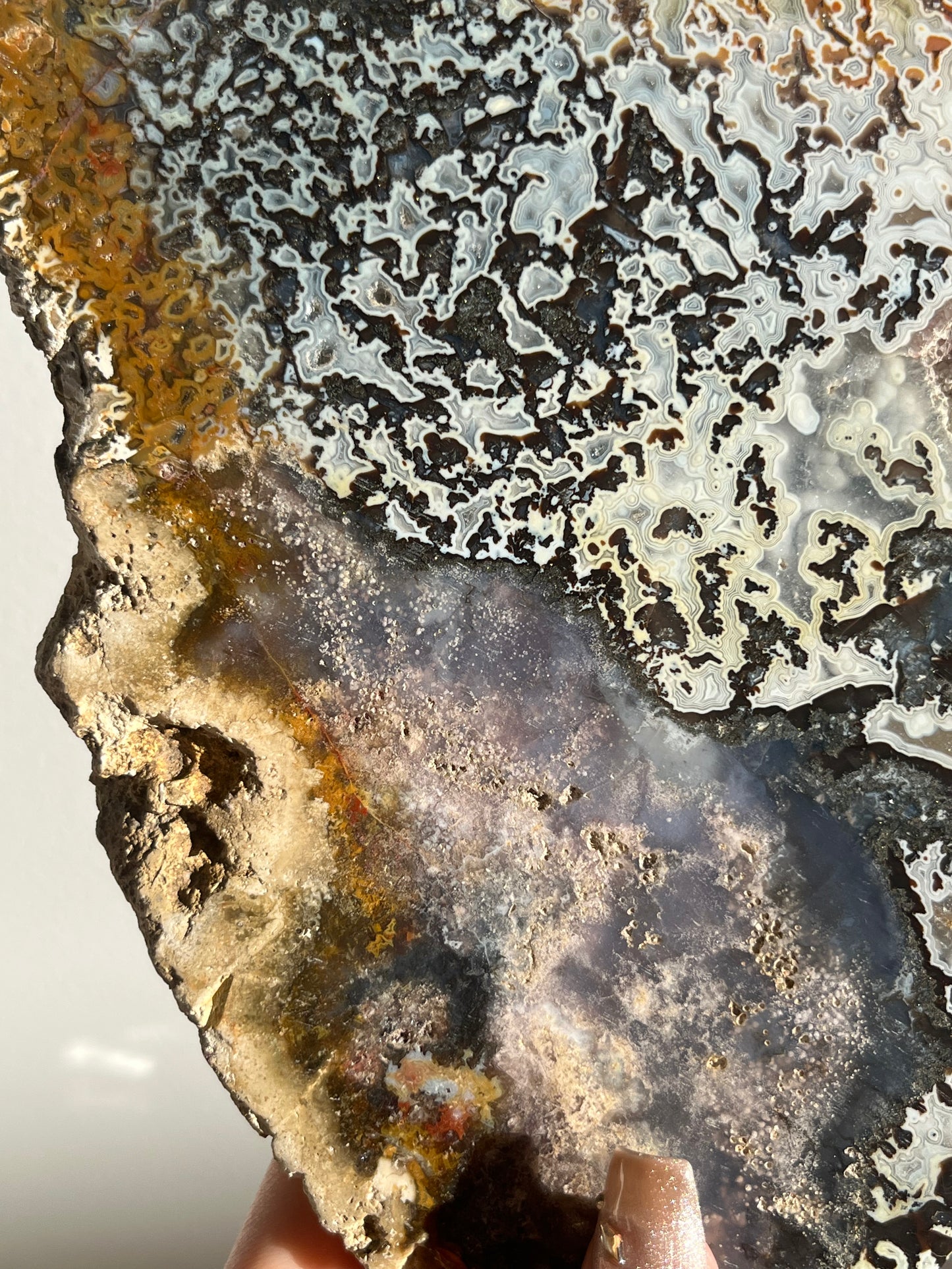 Agatised Petrified Wood with Marcasite, Face Agate Patterns and Parallax Effect Slab A