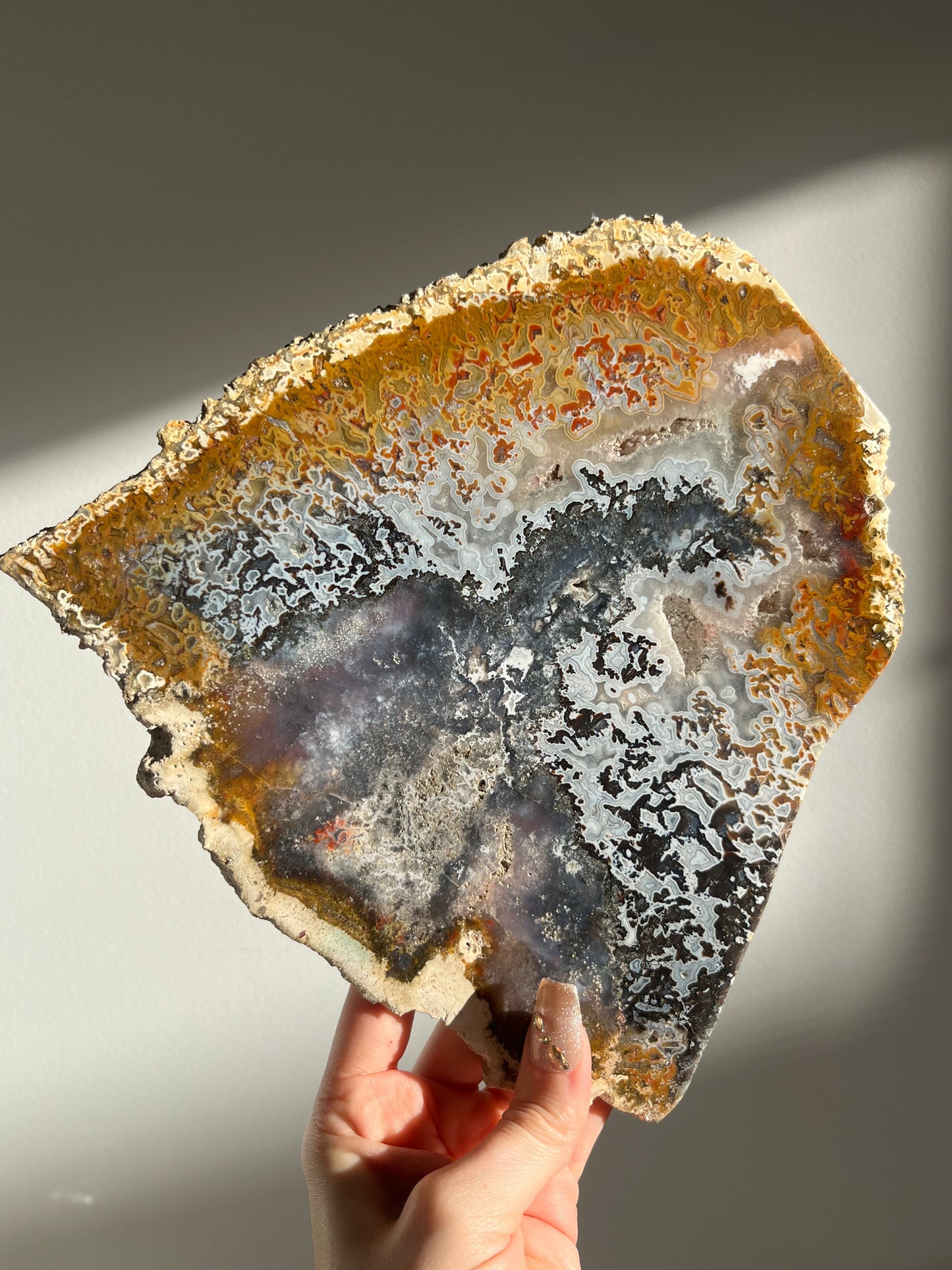 Agatised Petrified Wood with Marcasite, Face Agate Patterns and Parallax Effect Slab B