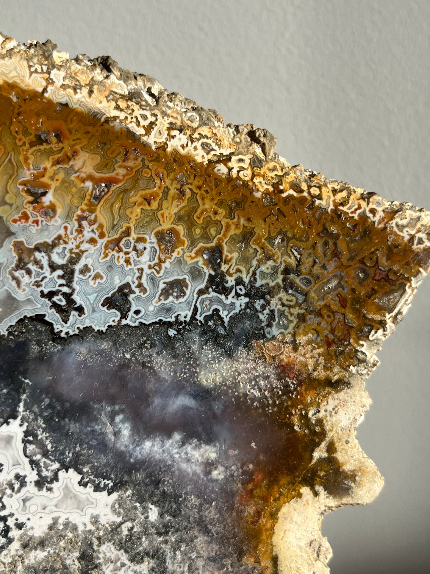Agatised Petrified Wood with Marcasite, Face Agate Patterns and Parallax Effect Slab B