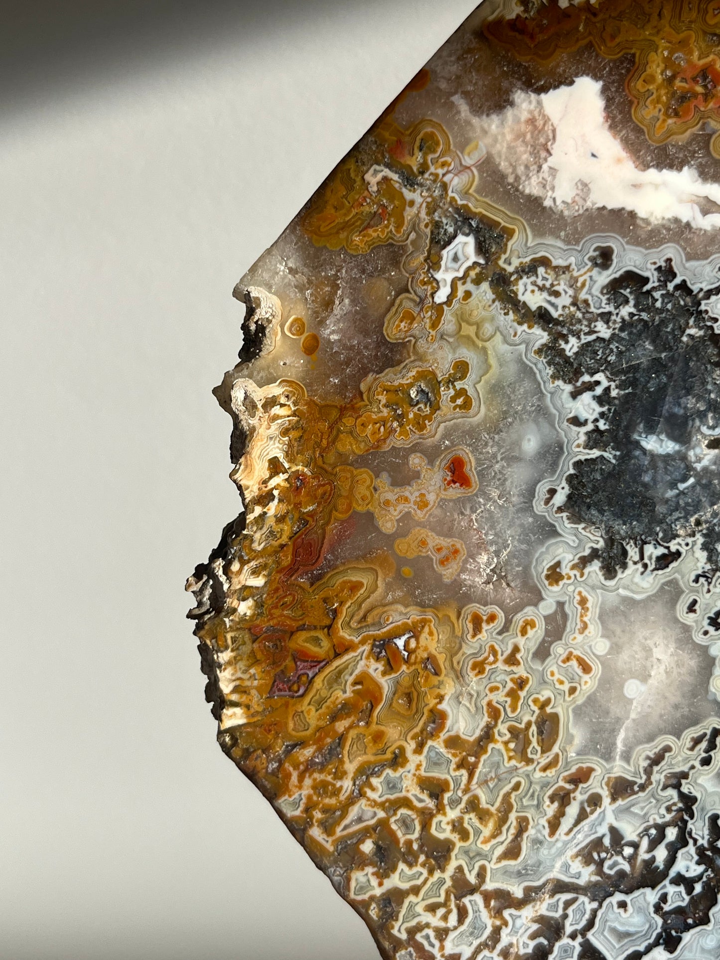 Agatised Petrified Wood with Marcasite, Face Agate Patterns and Parallax Effect Slab B
