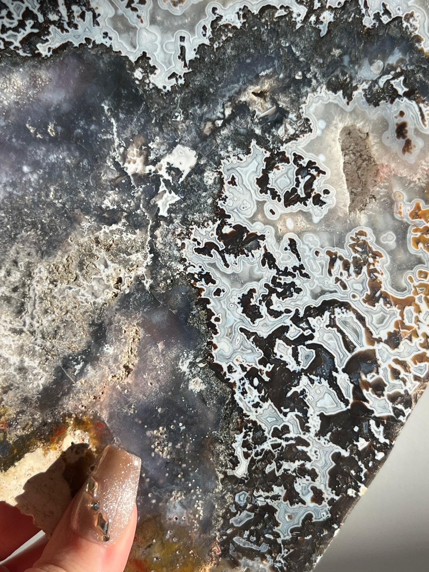 Agatised Petrified Wood with Marcasite, Face Agate Patterns and Parallax Effect Slab B