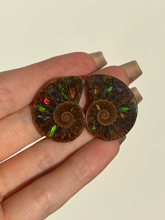 Opalised Ammonite Fossil Pair with Ammolite Shell Inlay
