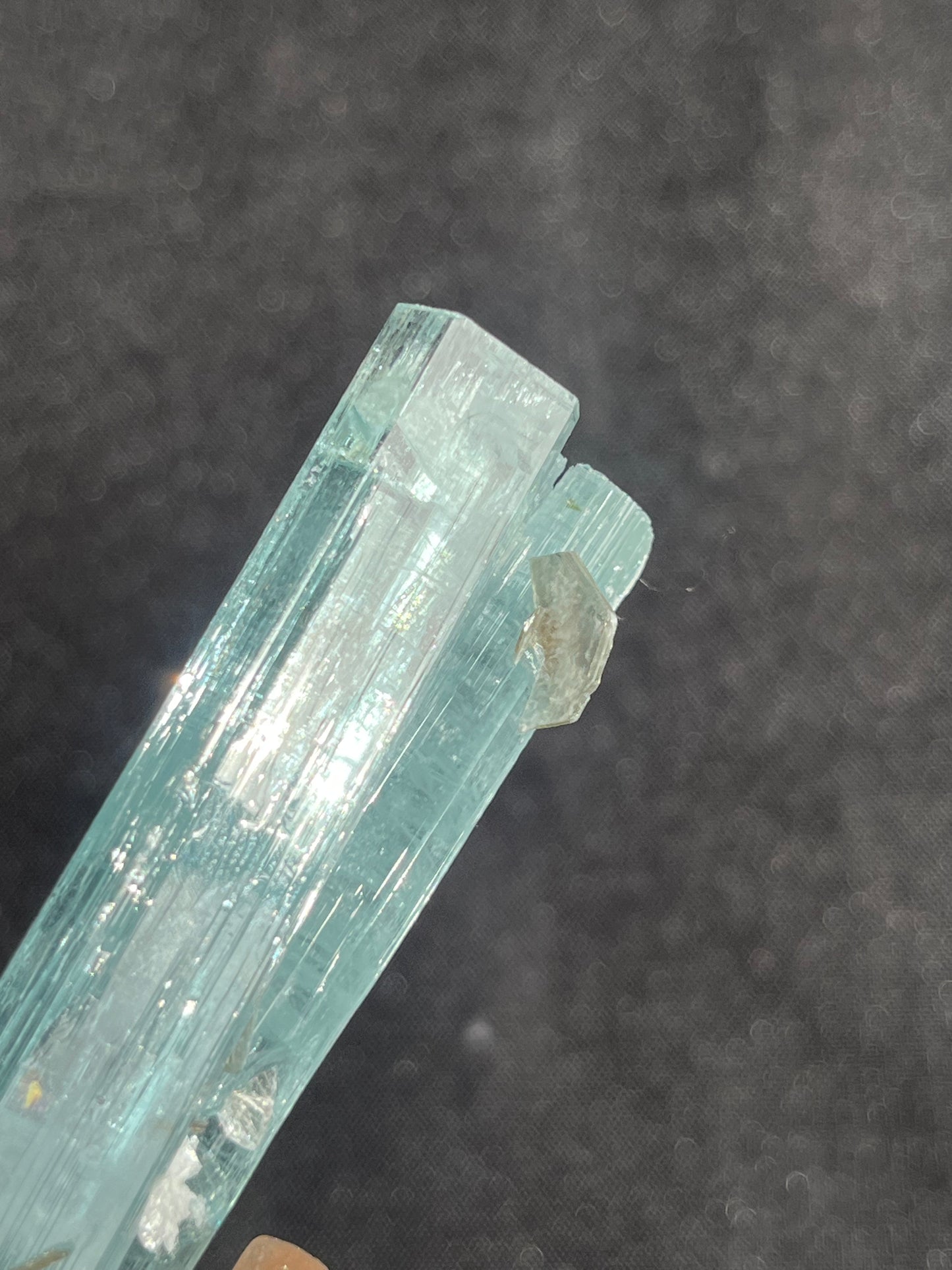 Aquamarine with Muscovite, Schorl Black Tourmaline & Feldspar Specimen M