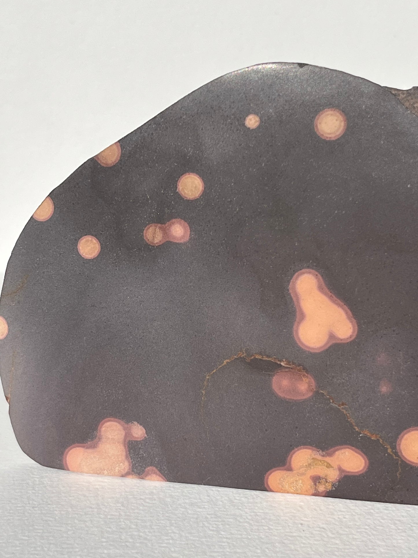 Astronomite Standing Polished Slab B