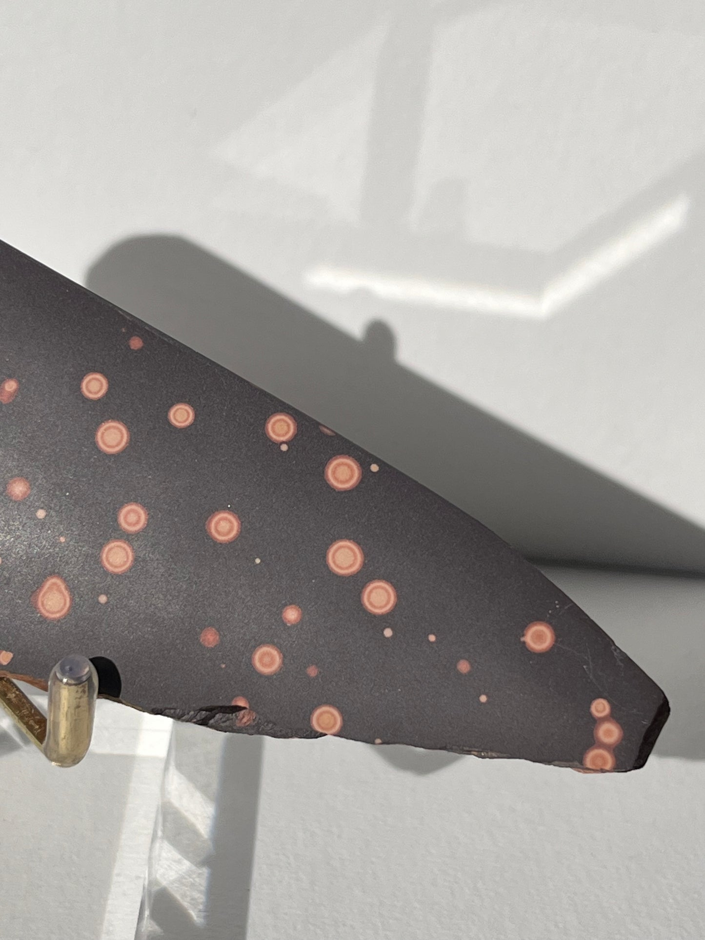 Astronomite Polished Slab C