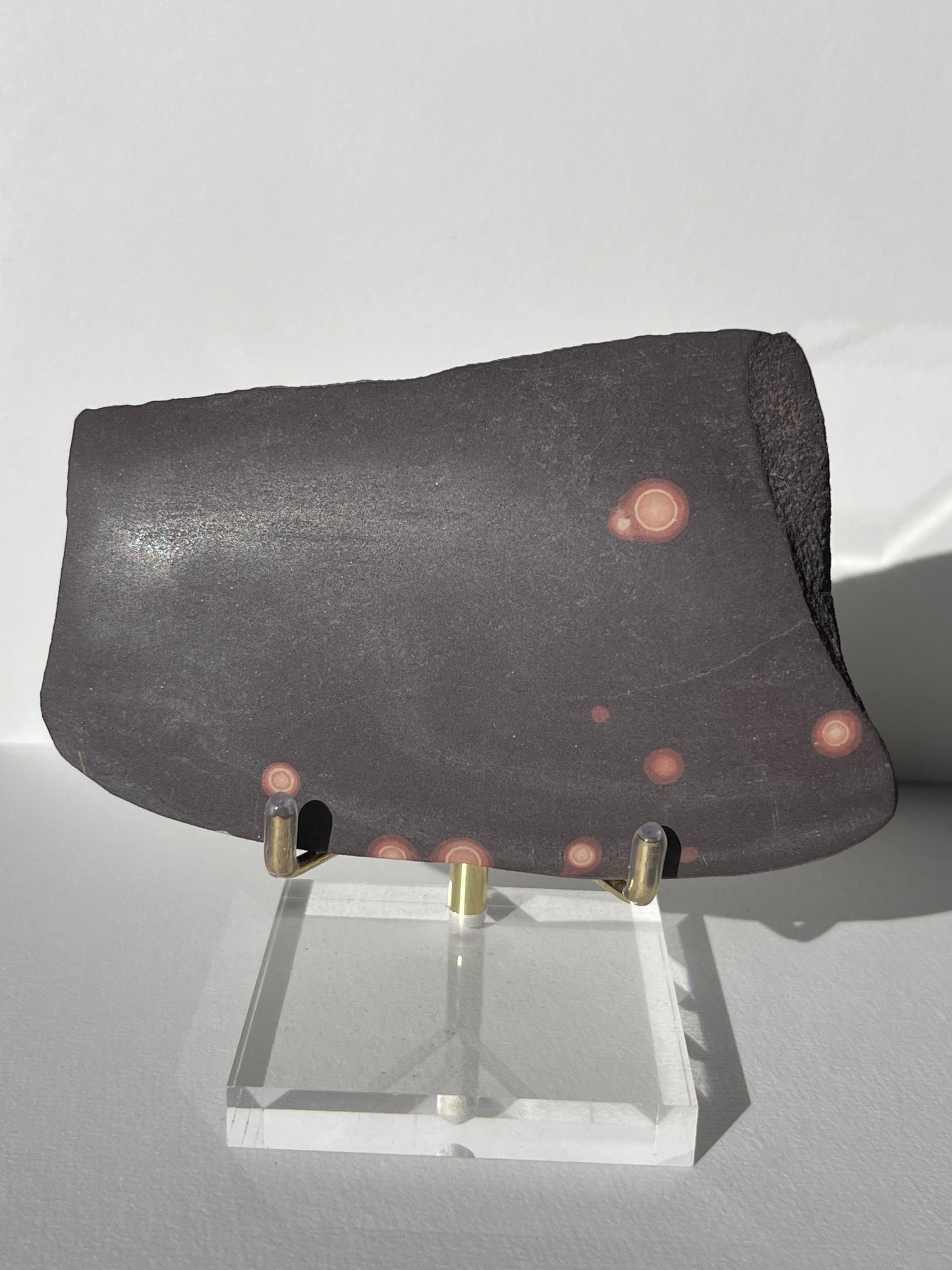 Astronomite Polished Slab D