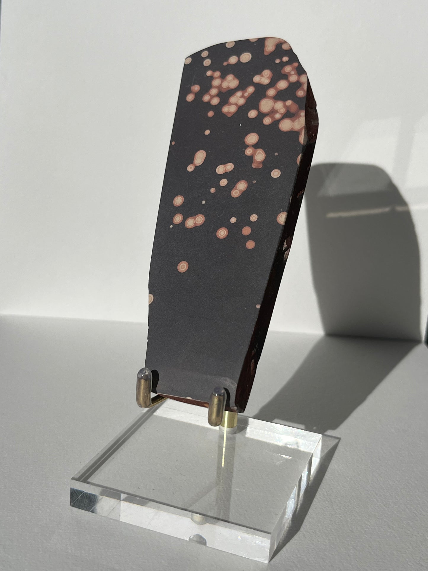 Astronomite Polished Slab F