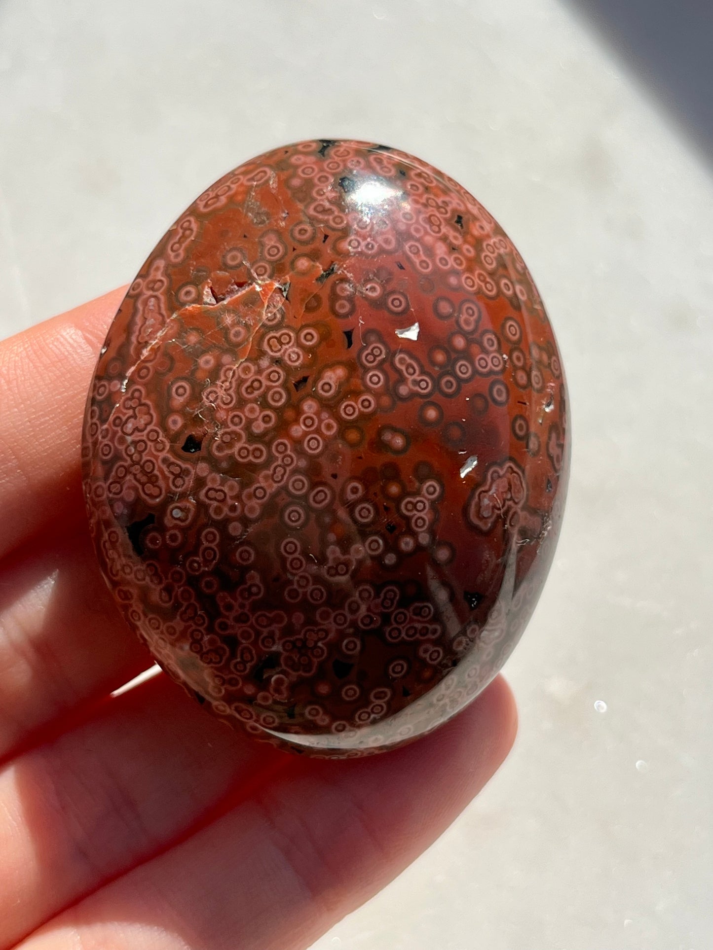 Veinless Ocean Jasper Palmstone #18