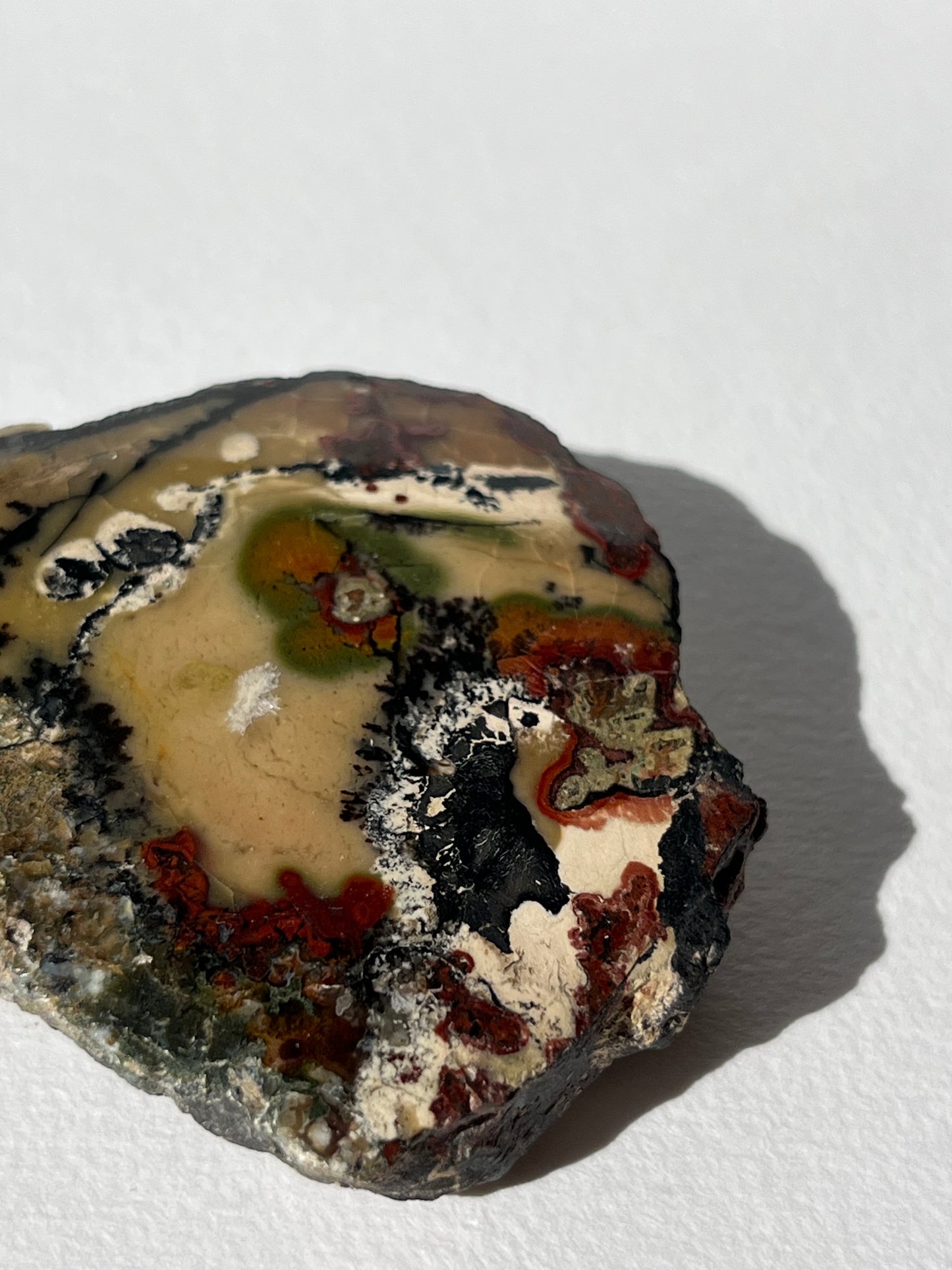 "The Painted Lady" Batu Seniman Picture Jasper Semi Polished Slab F