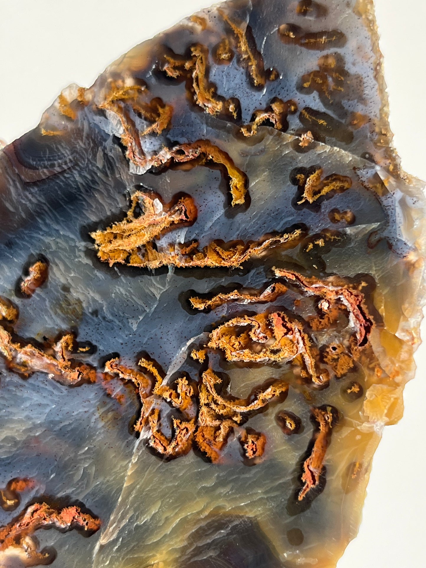 Blue West Indonesian Agate with Golden Moss Slab A