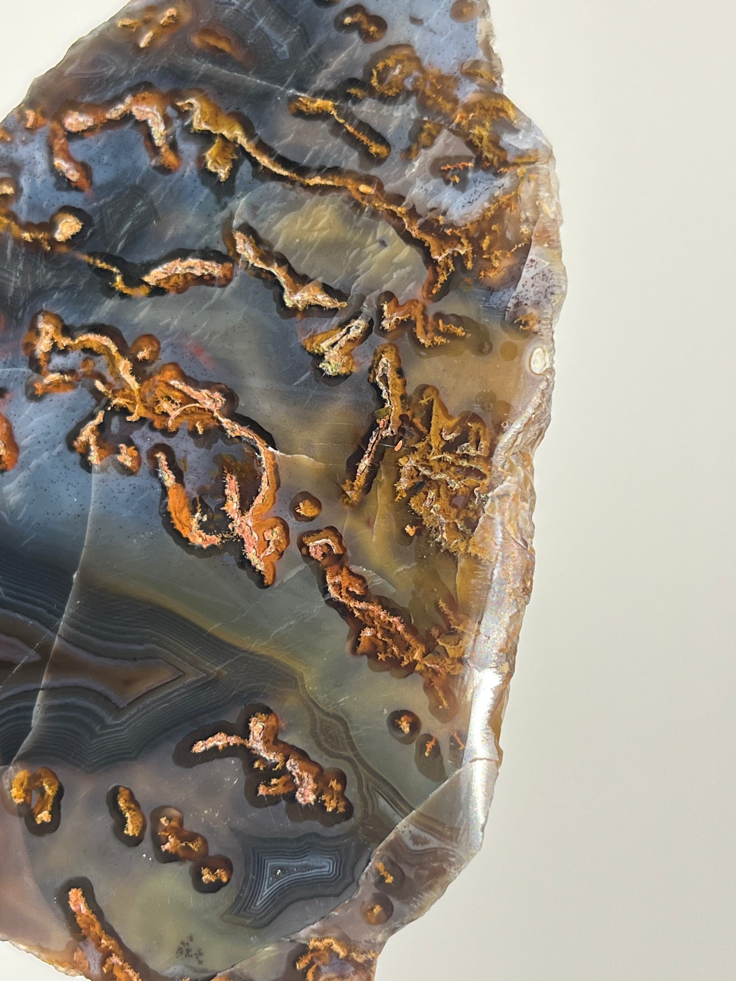 Blue East Indonesian Agate with Golden Moss Slab D