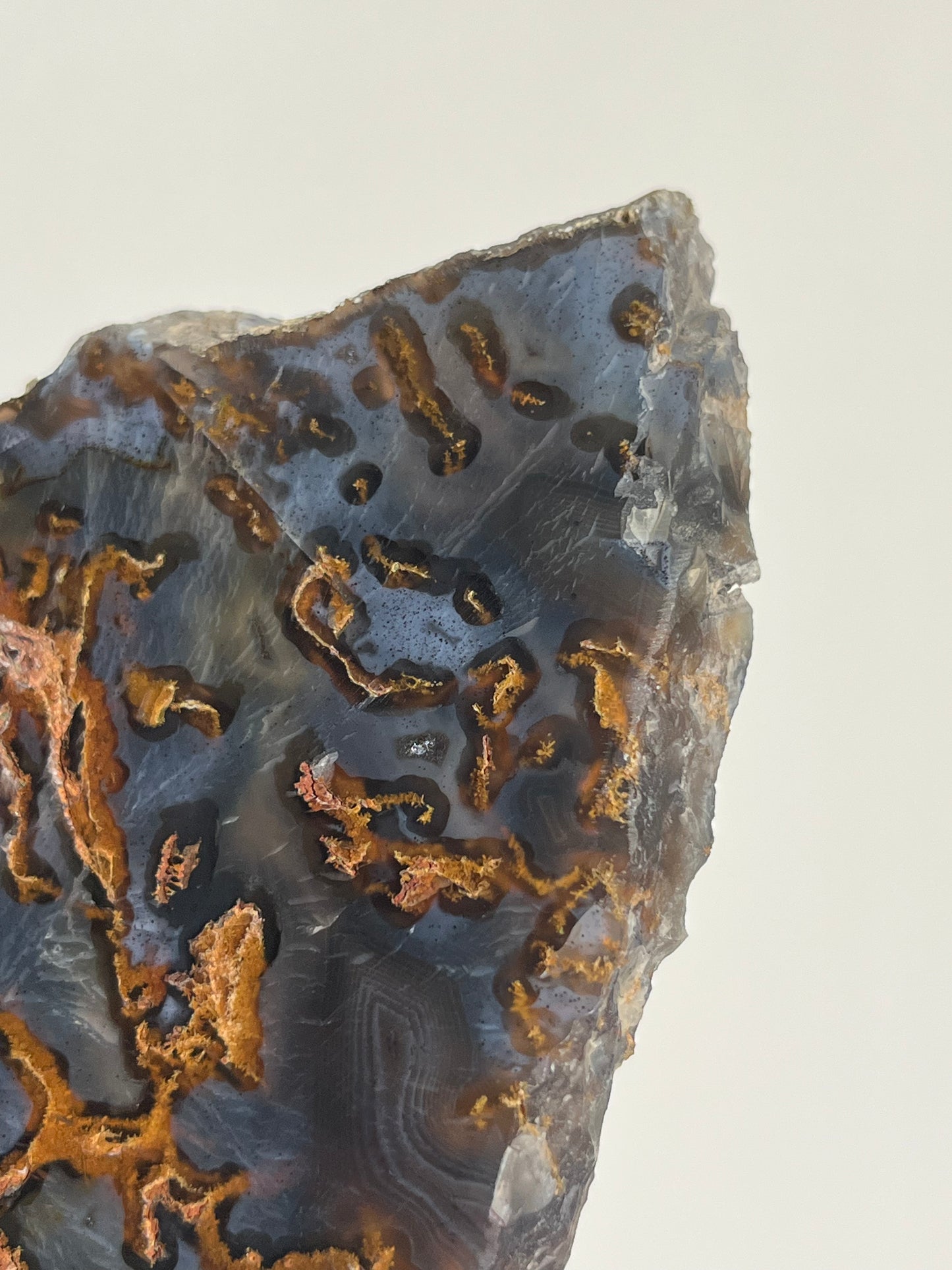 Blue East Indonesian Agate with Golden Moss Slab D