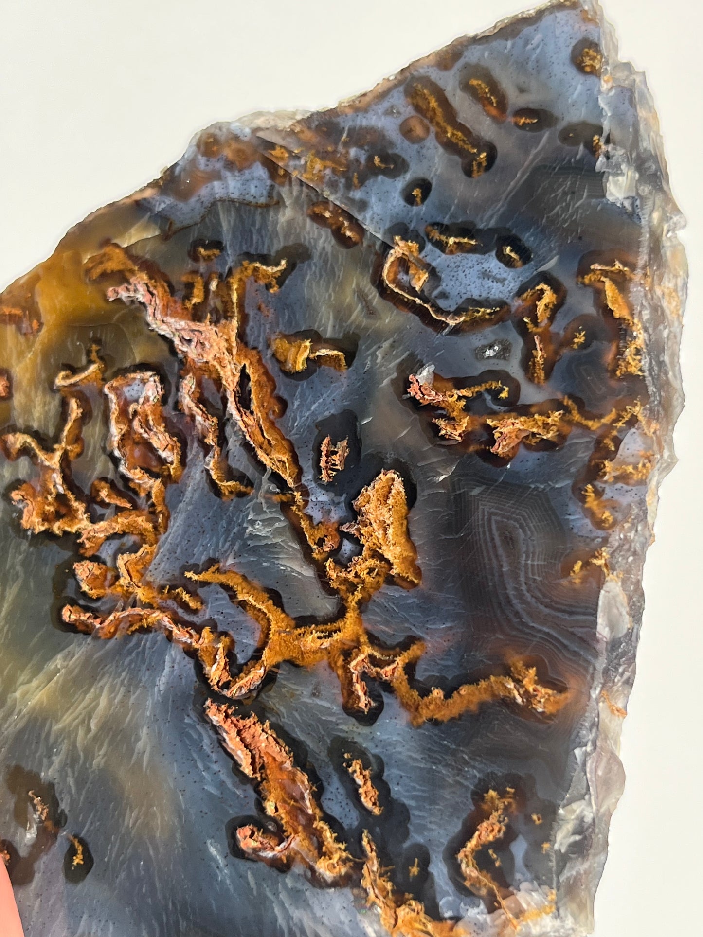 Blue East Indonesian Agate with Golden Moss Slab D