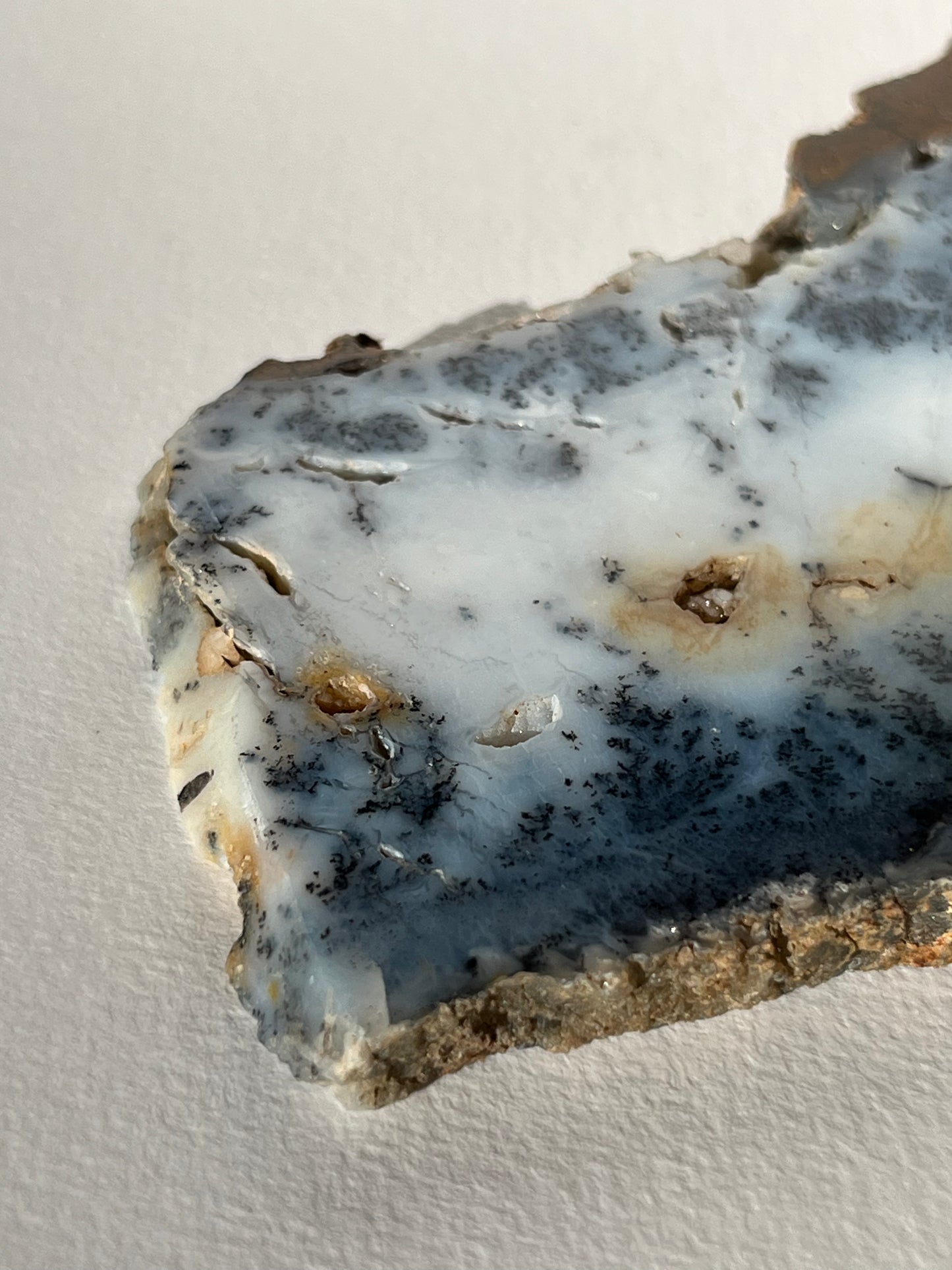Blue Dendritic Opal Slab B