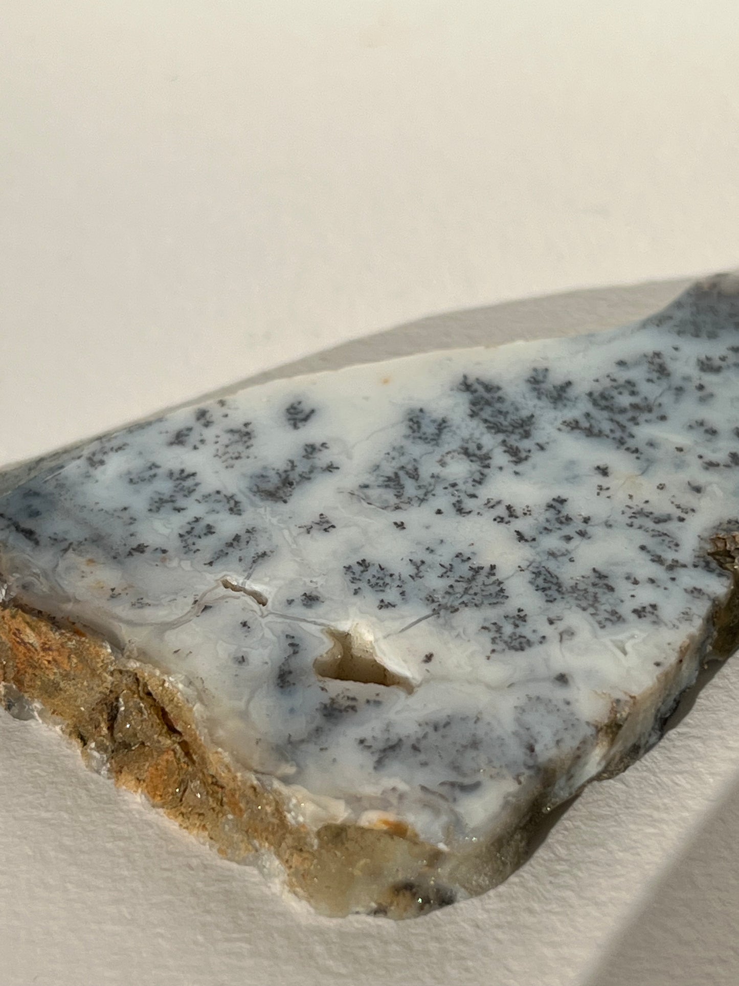 Blue Dendritic Opal Slab F