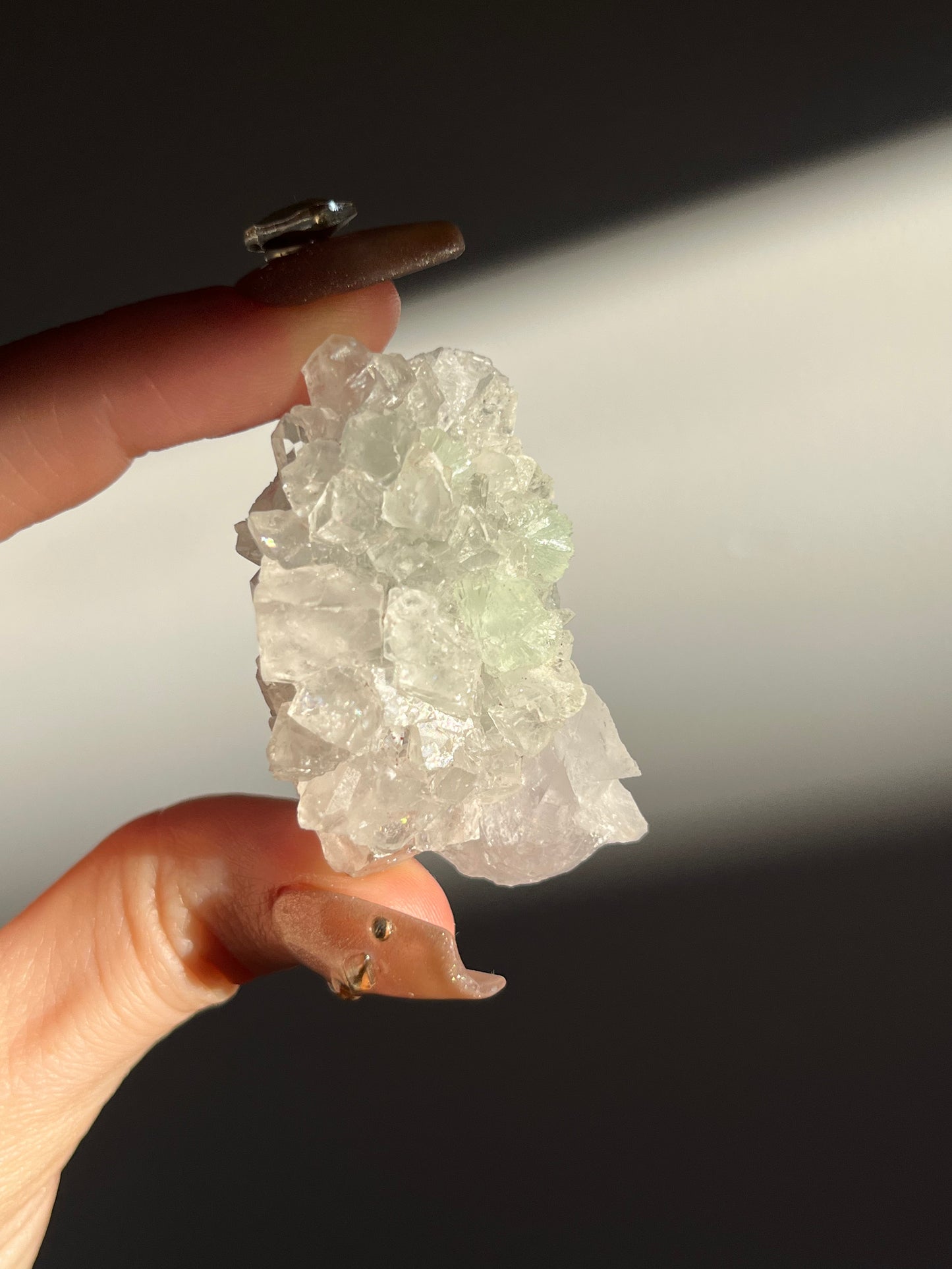Botryoidal Prehnite with Quartz, Calcite and Analcime Mini Cluster E