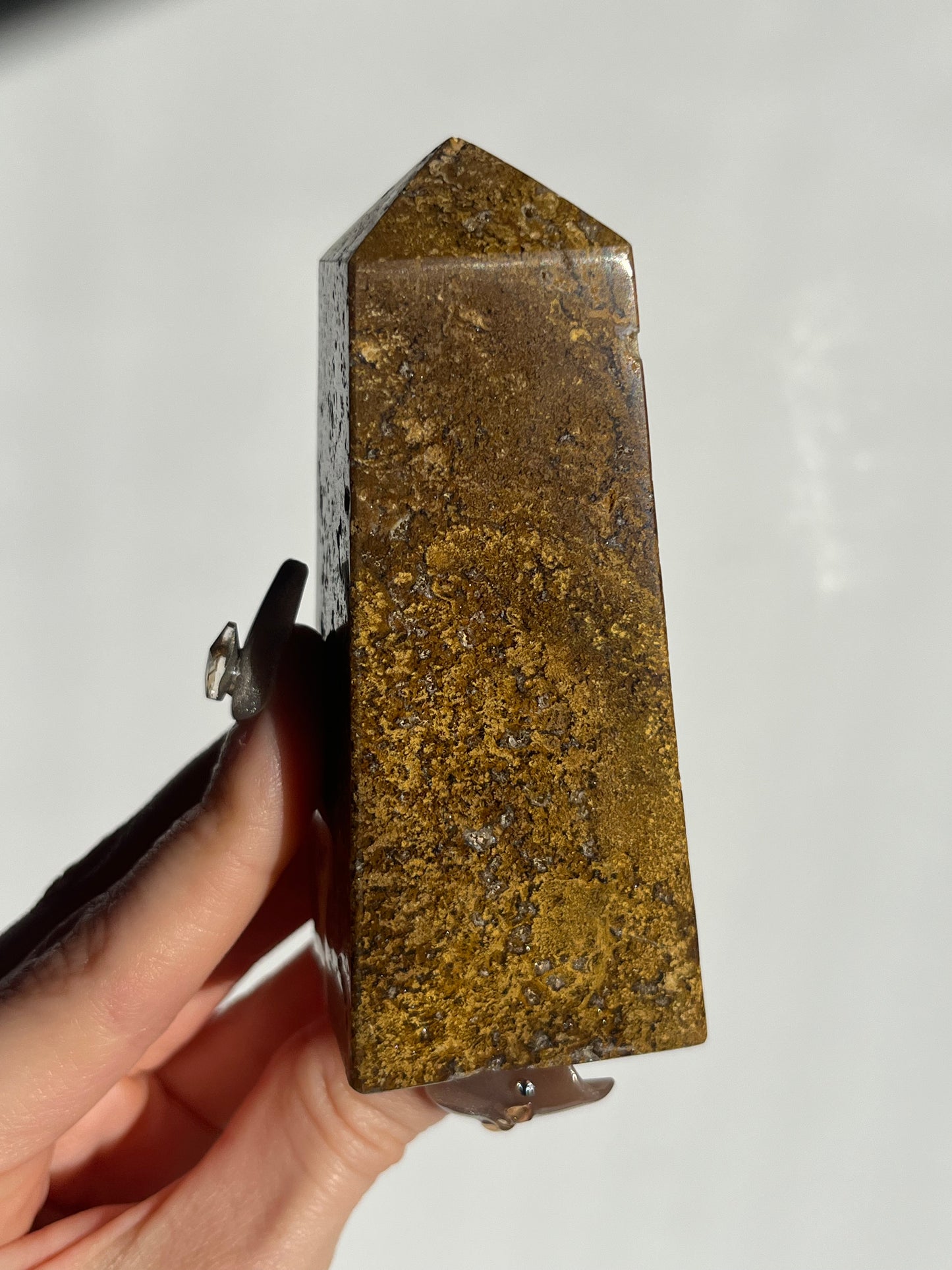 Brown Moss in Jasper Tower A