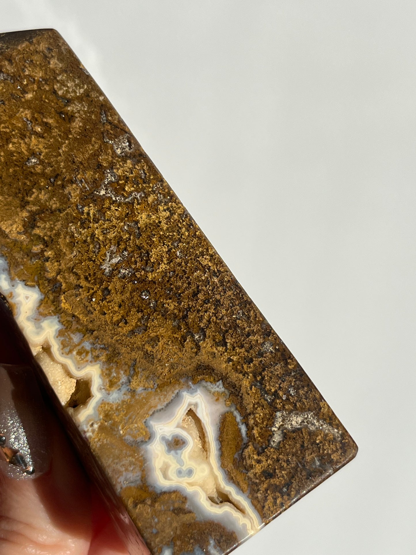 Brown Moss in Jasper Tower A