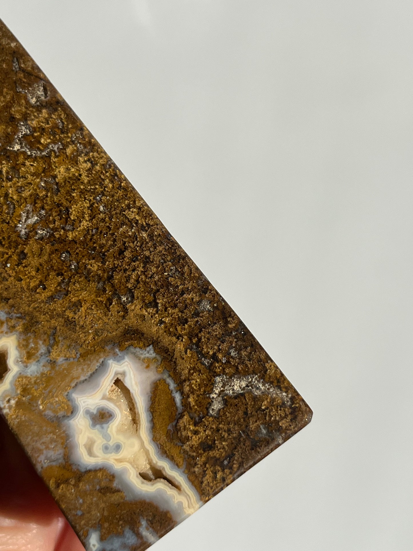 Brown Moss in Jasper Tower A