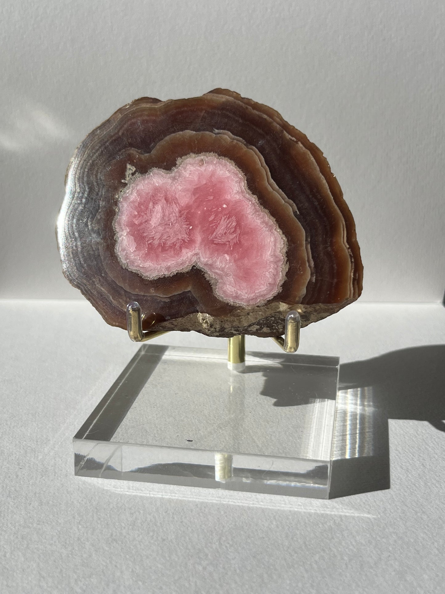 Brown Rhodochrosite Stalagmite Nodule Cross Section Specimen (Collector's Choice)