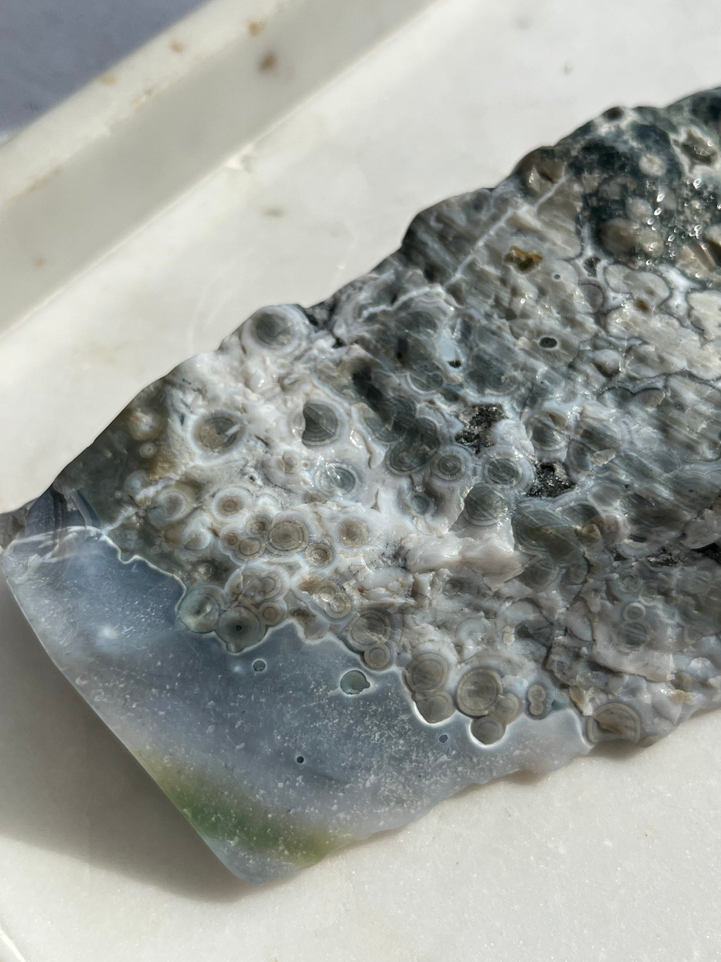 “Orca” 6th Vein Ocean Jasper Semi Polished Freeform Slab