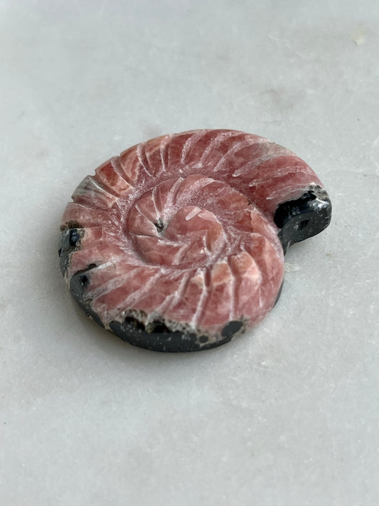“Imperial” Rhodochrosite Ammonite Carving w/Manganese Ore Flower Pattern