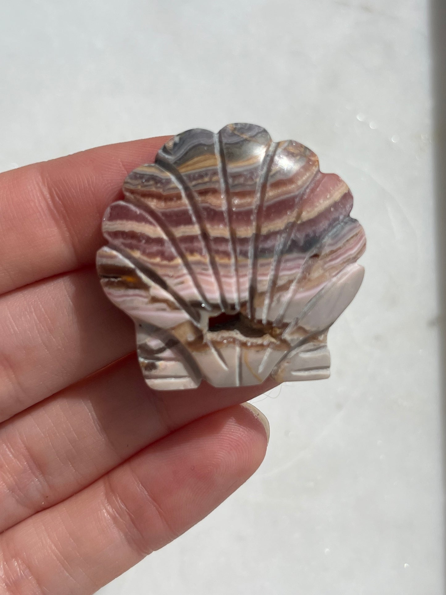 Banded Rhodochrosite Seashell Carving (You Choose)