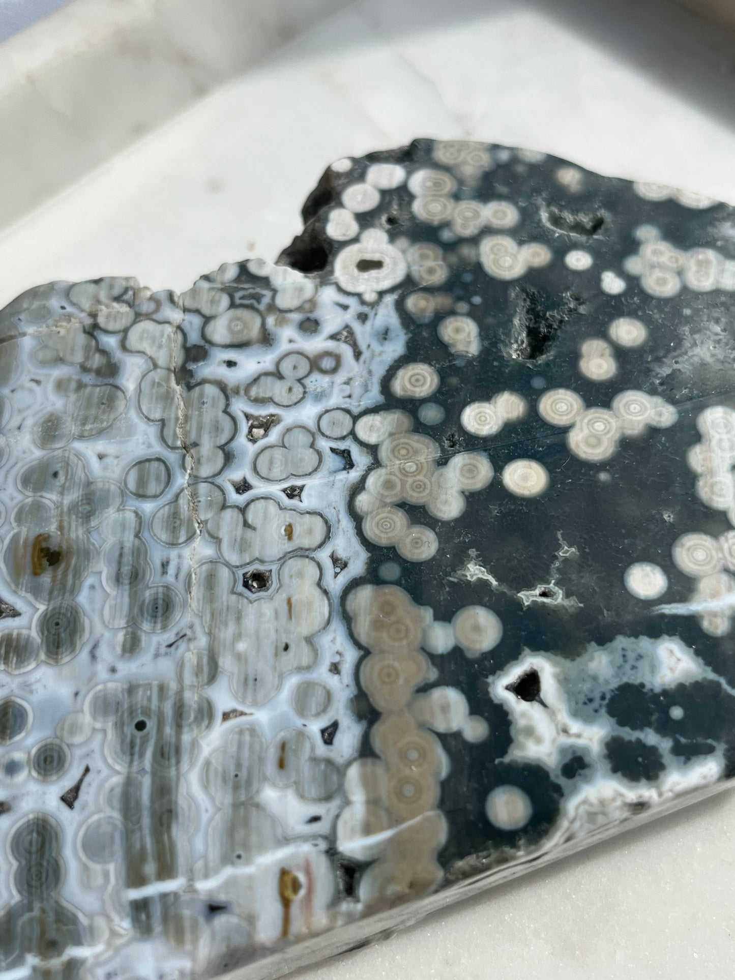 “Orca” 6th Vein Ocean Jasper Semi Polished Freeform Slab
