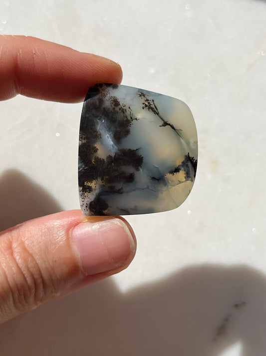 Australian Dendritic Opal Cabochon (You Choose)