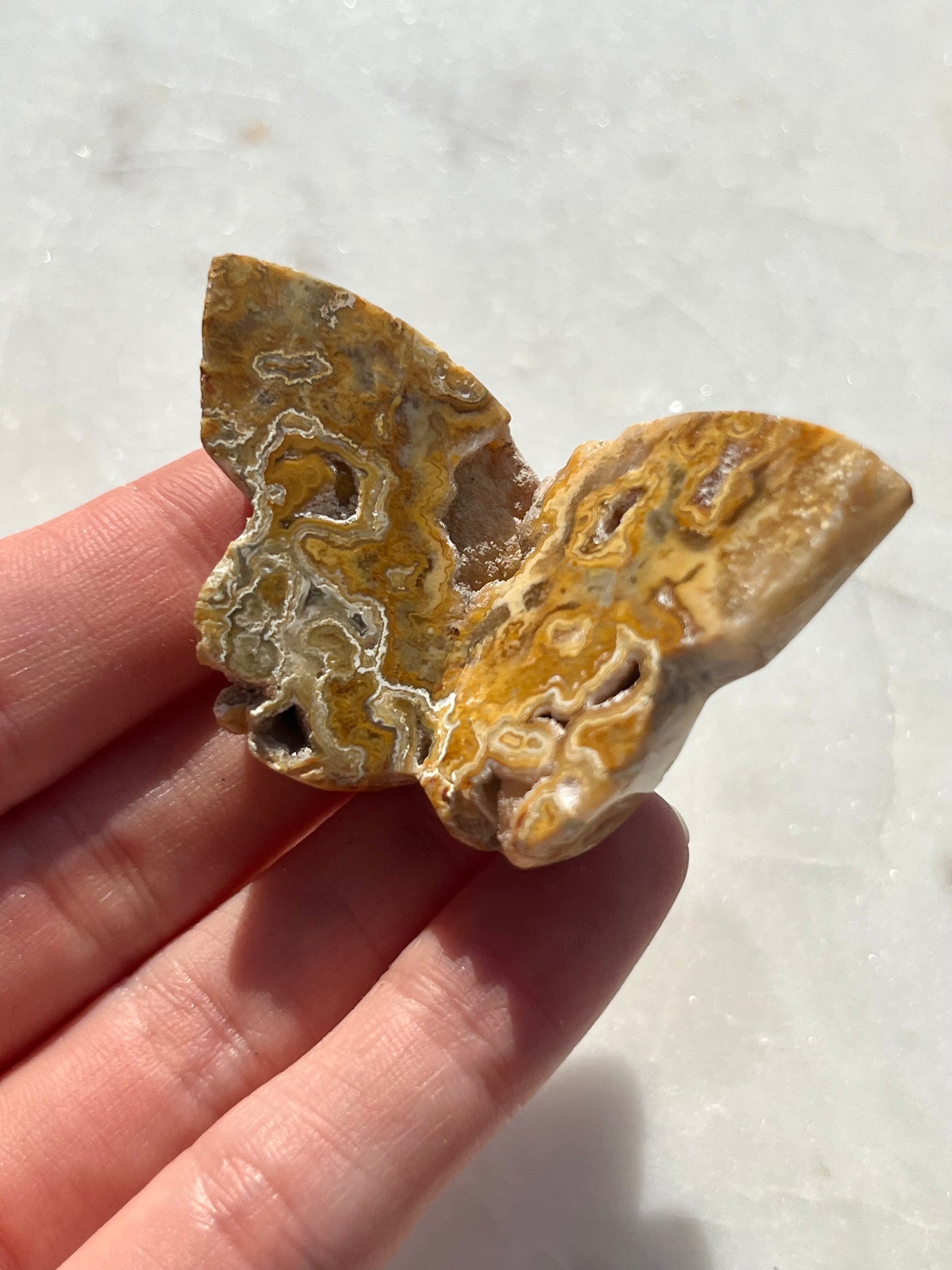 Indonesian Golden Crazy Lace Agate 3D Butterfly Carving (You Choose)