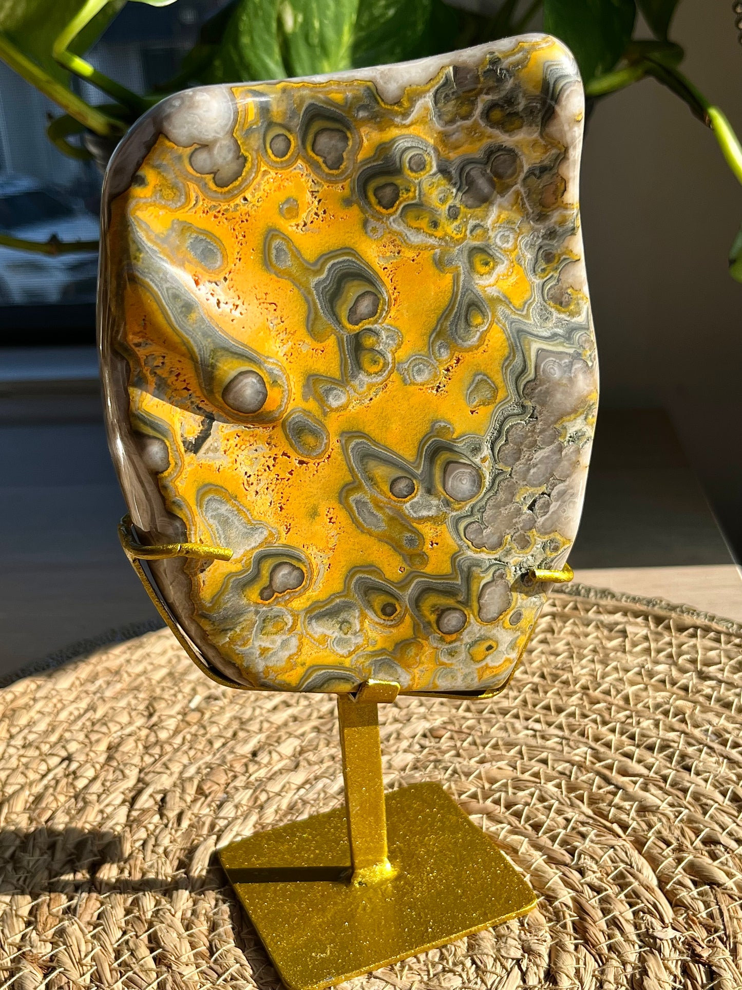 Rare Orbicular Bumblebee Jasper Polished Freeform on Stand #2
