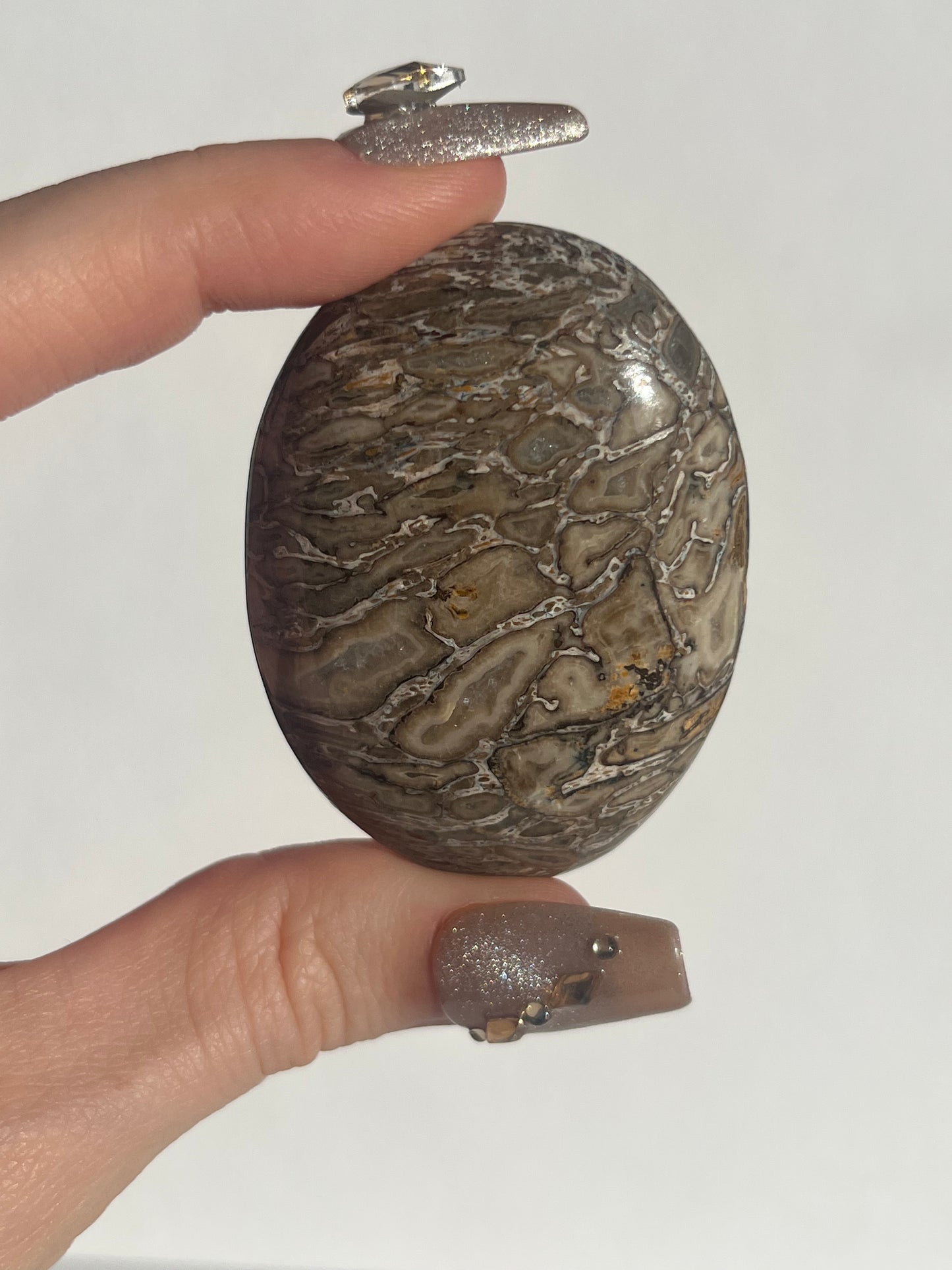 Agatised Dinosaur Fossil Palmstone A