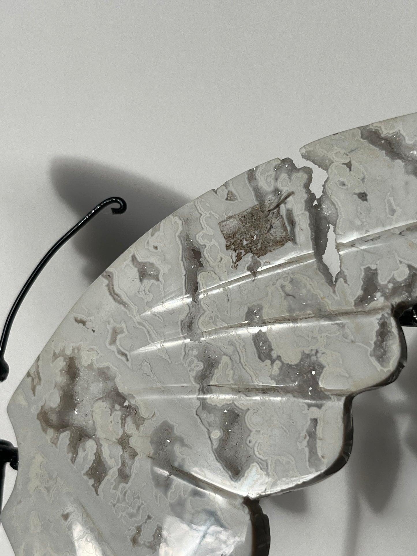 Druzy Snow Agate Butterfly Wings on Stand B