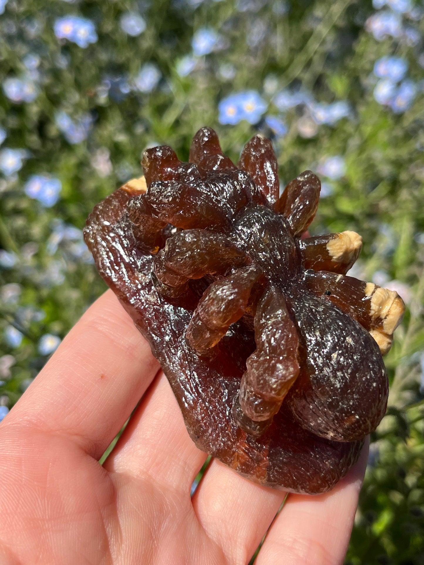 印尼细致琥珀狼蛛雕刻(直觉选择)